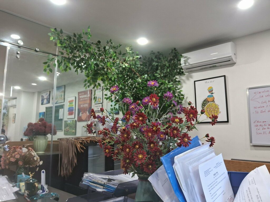 Visa support Phú Quốc Xanh, Ho Chi Minh, photo