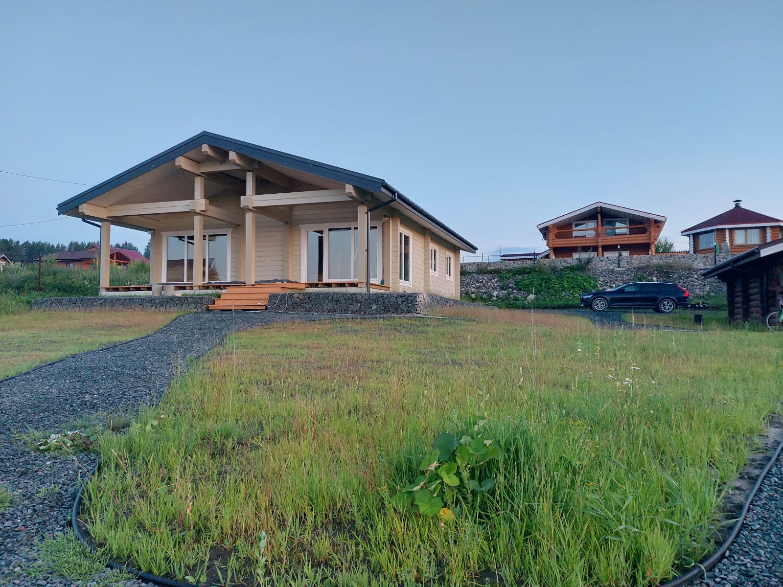 Фото Таволга