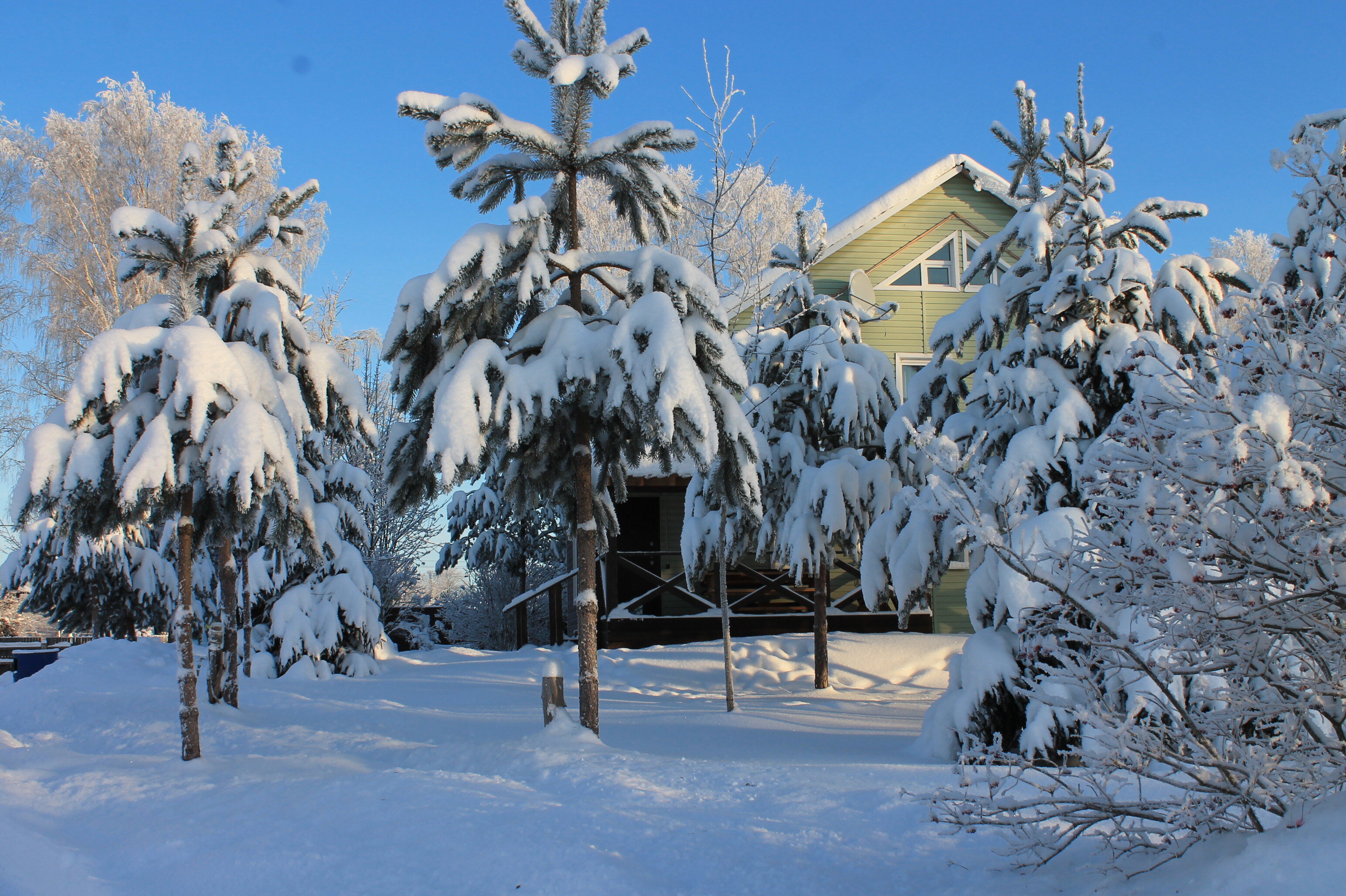 Фото Андога