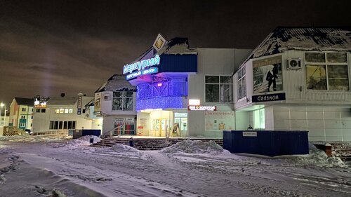 Торговый центр Меркурий, Губкинский, фото