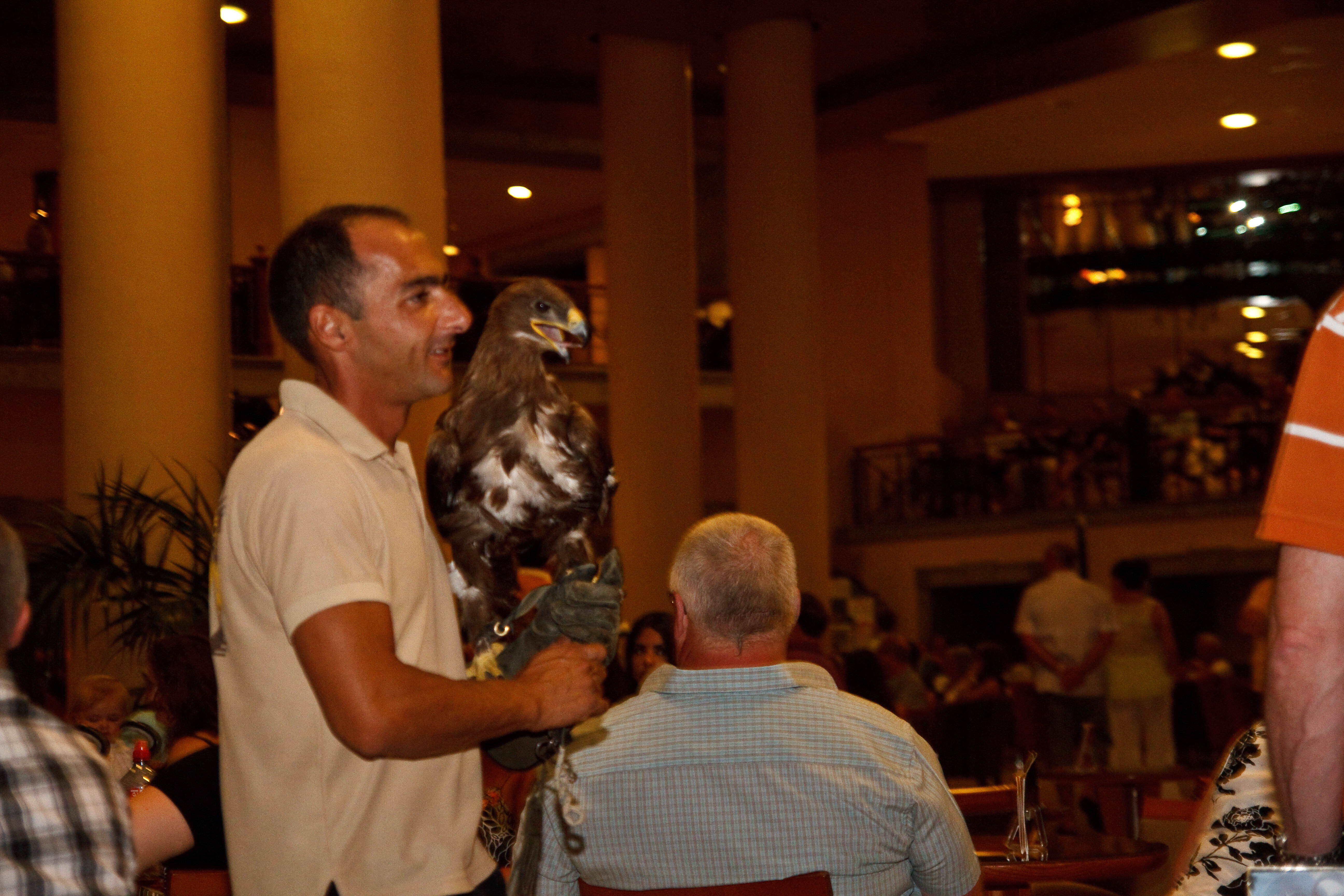 Фото Gf Gran Costa Adeje