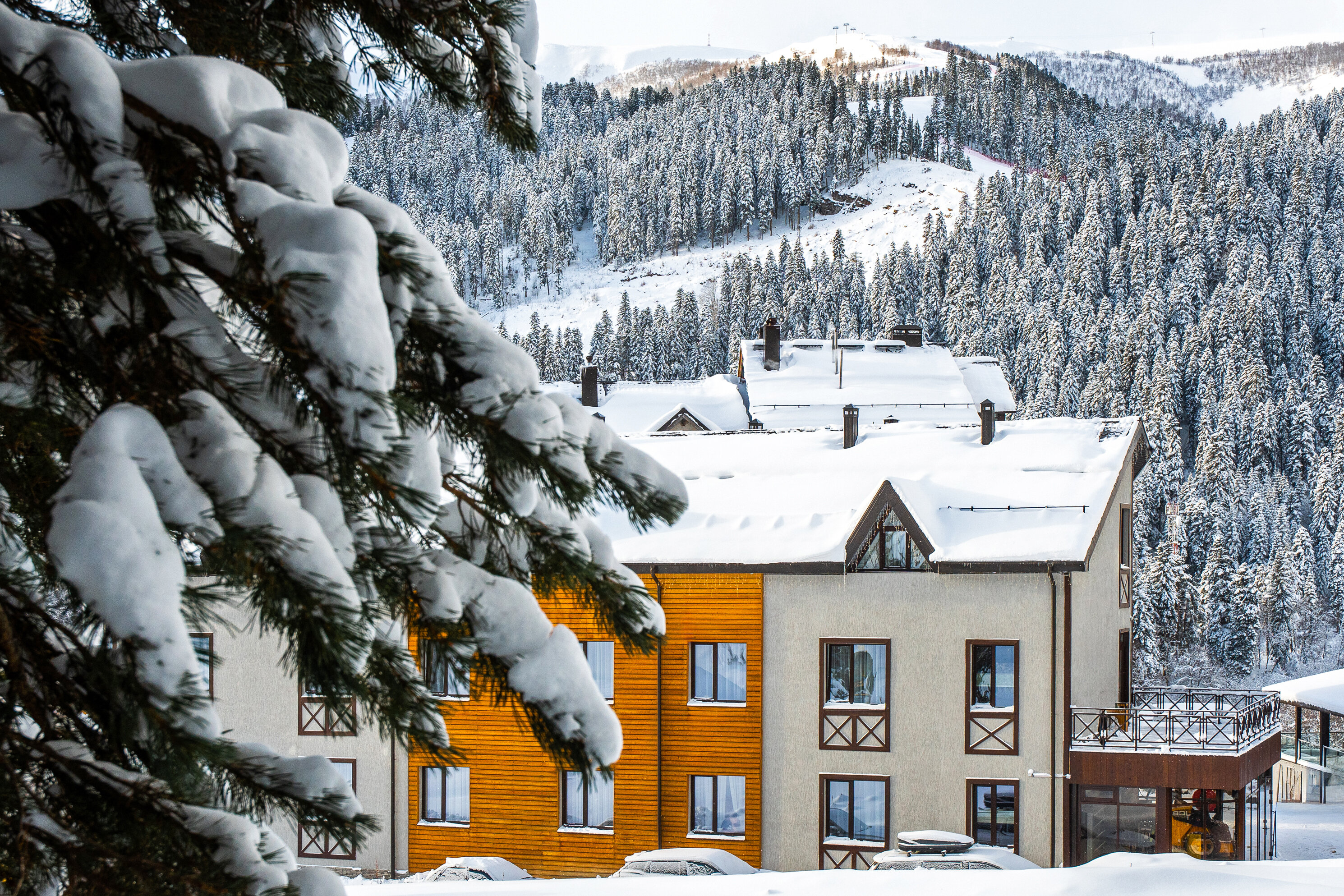 Фото Баринъ