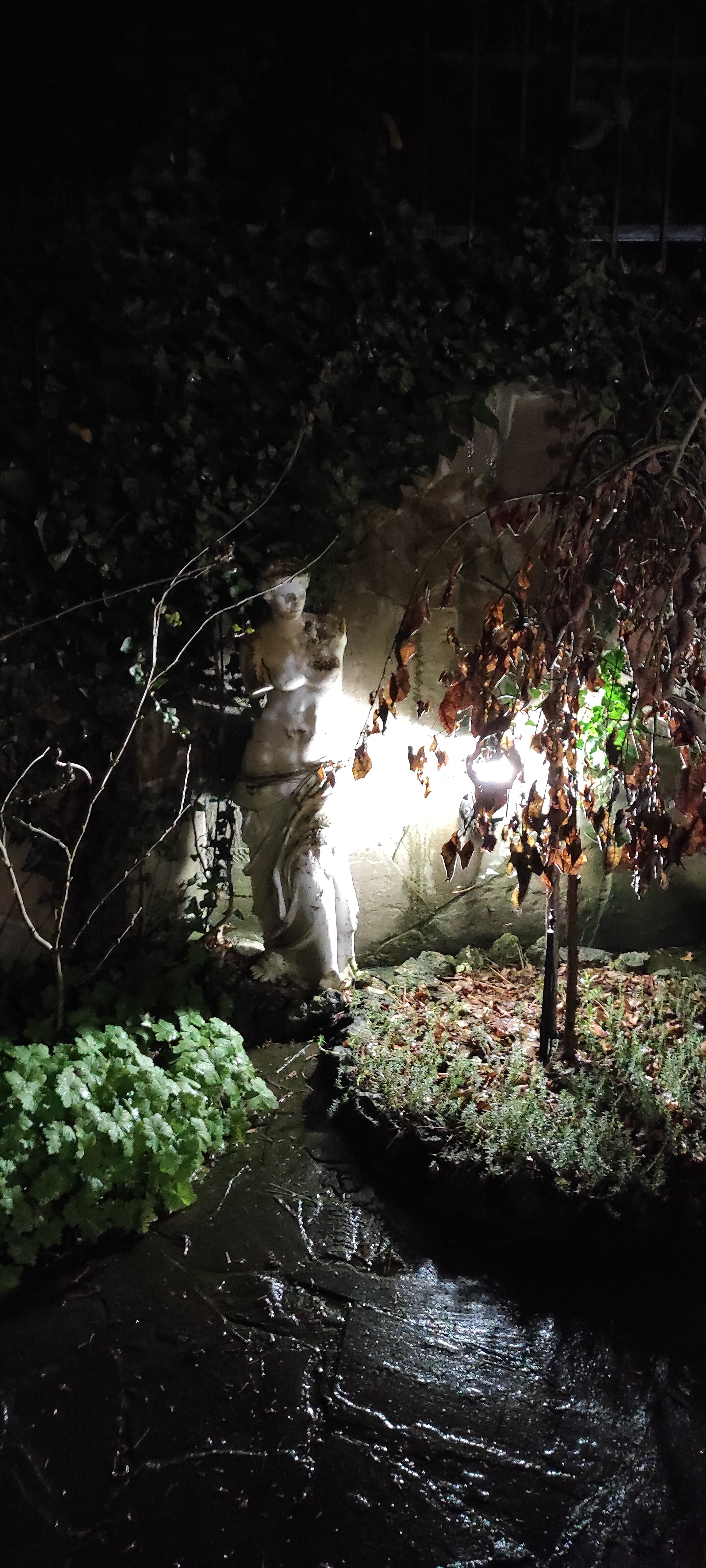 Фото Вилла Сова