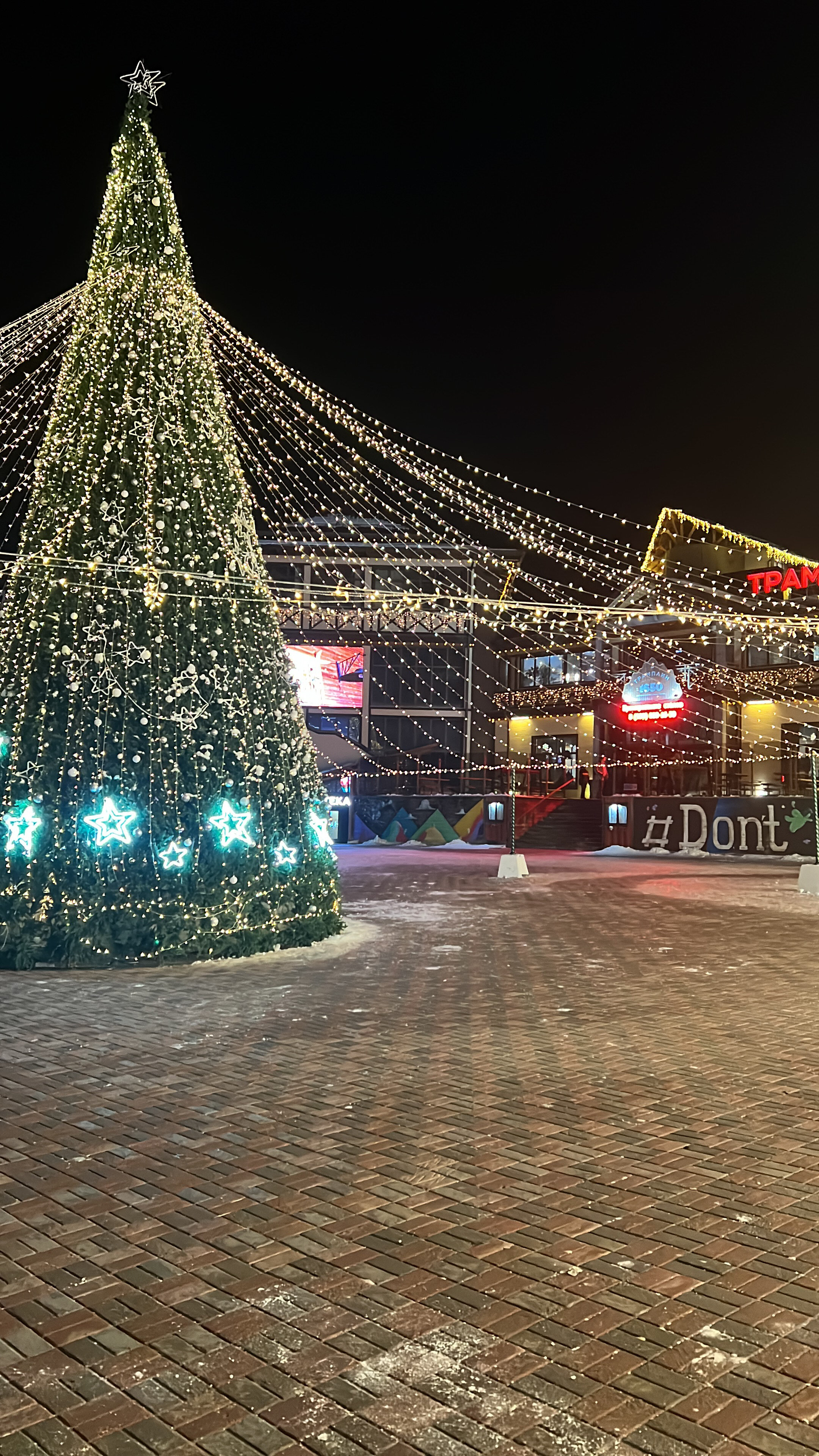 Фото Гризли