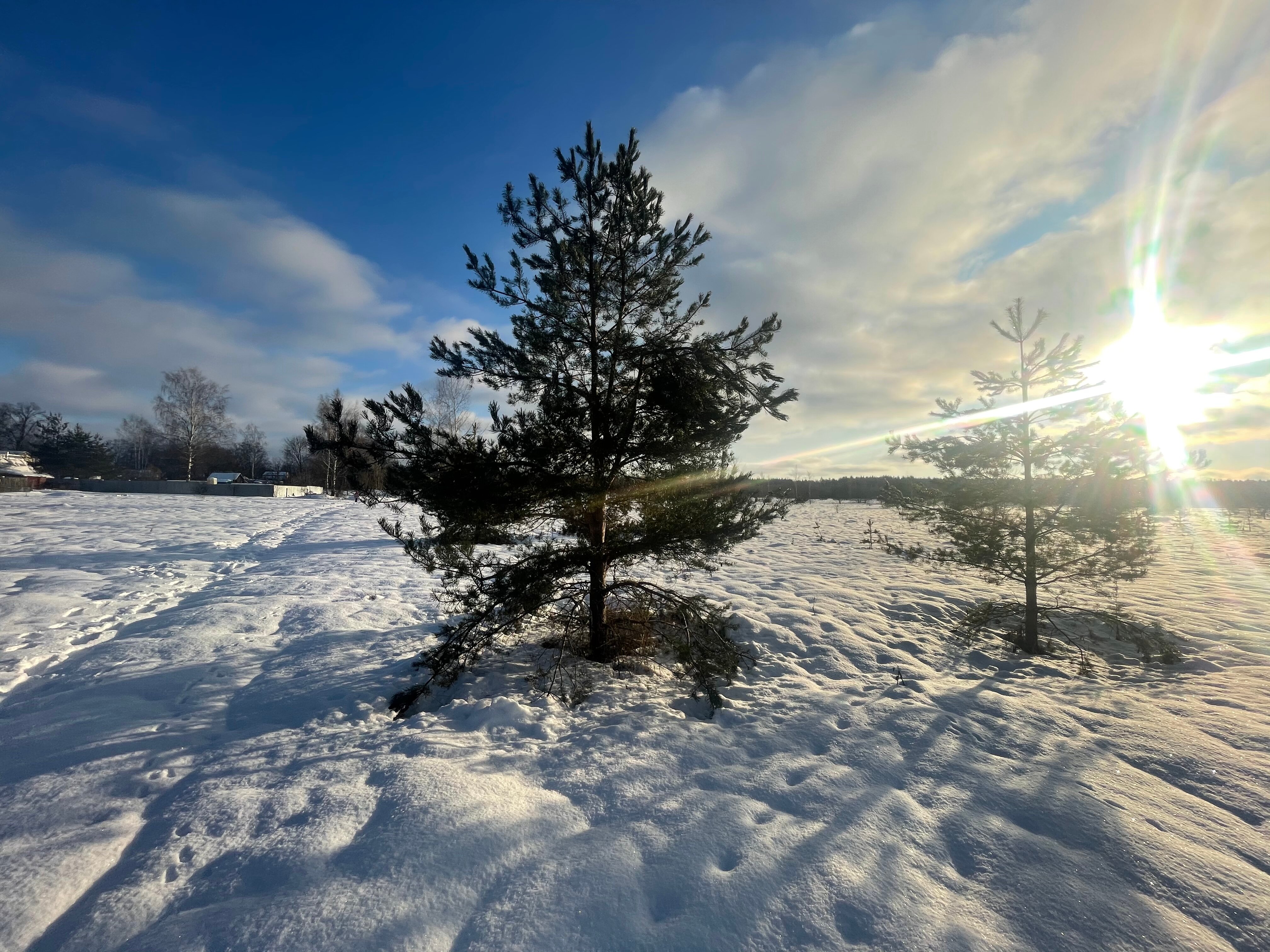 Фото Овчинино Лайф