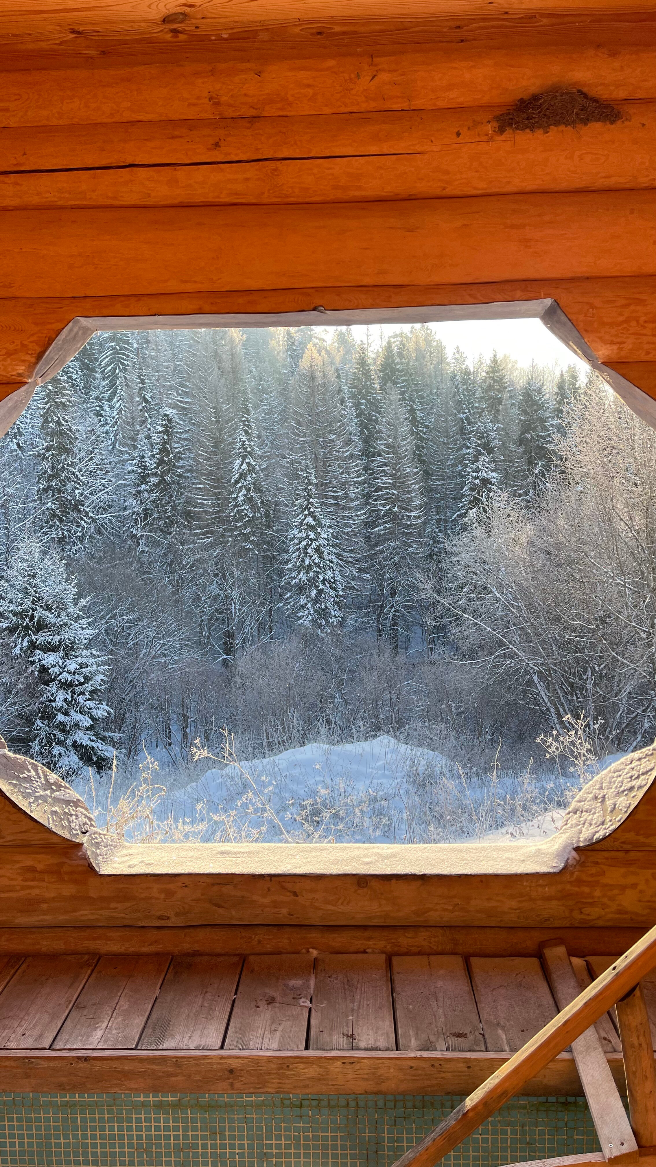 Фото Марийская Швейцария