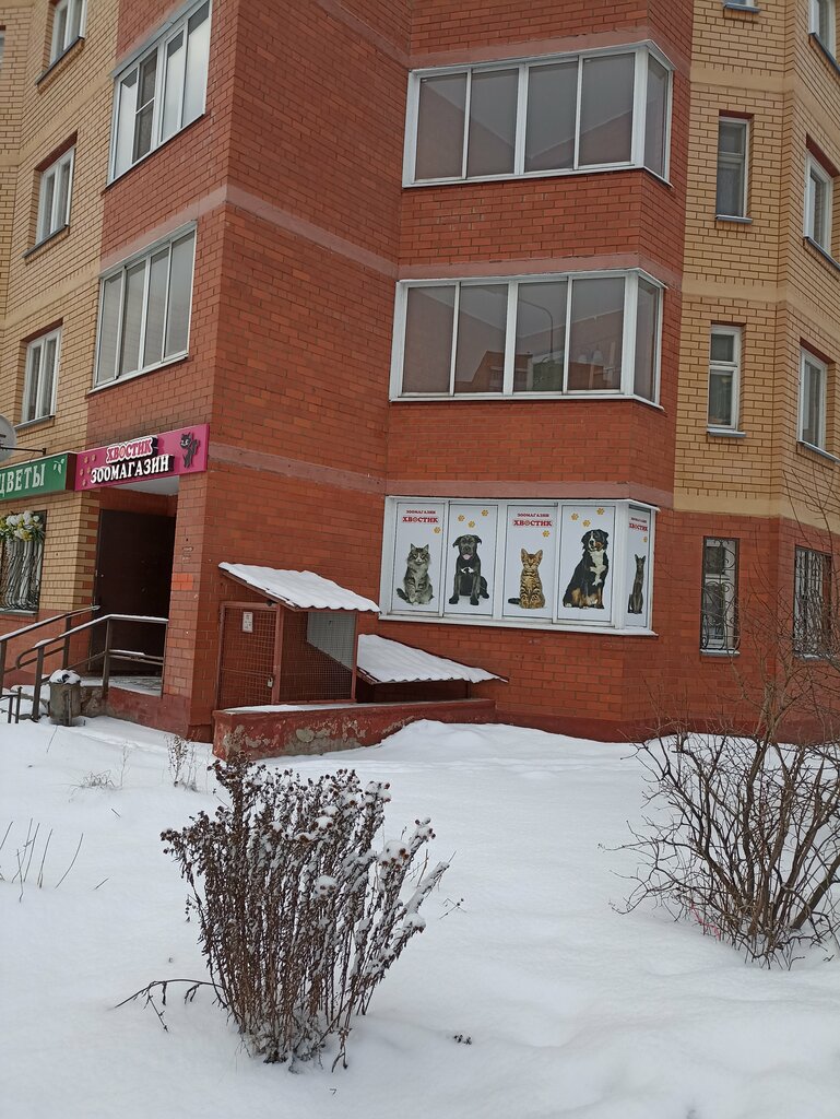 Pet shop Khvostik, Shelkovo, photo