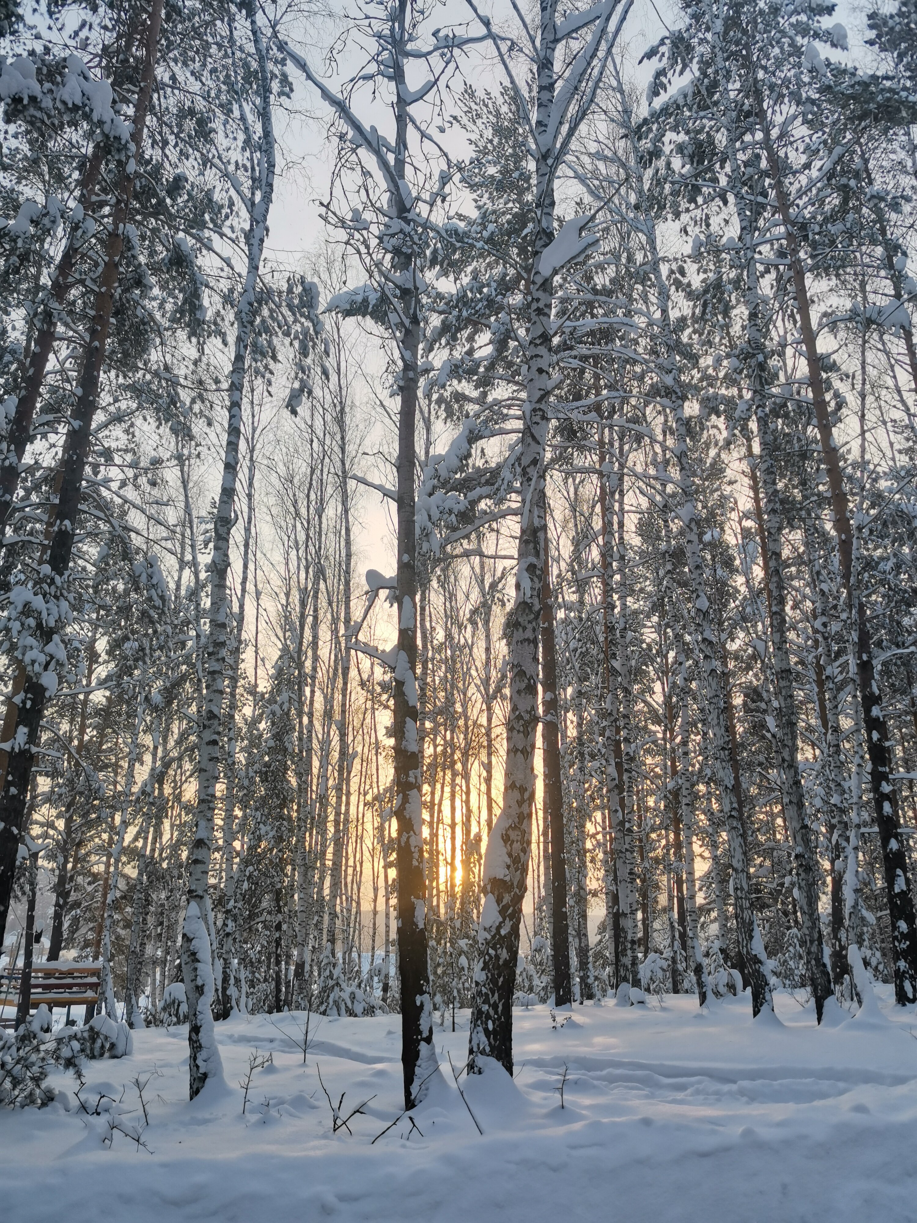 Фото Берёзовский гриль-парк