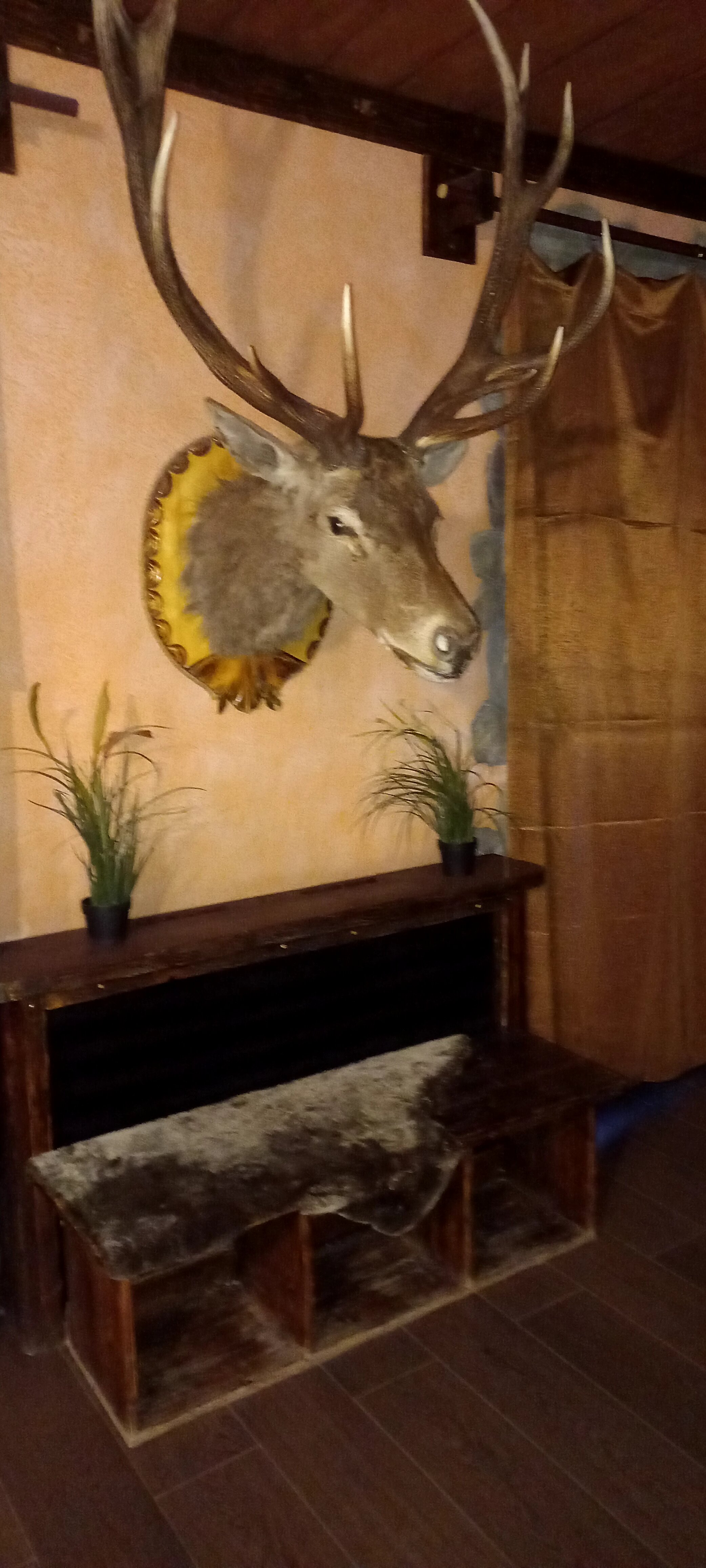 Фото 20 ВёрстЪ