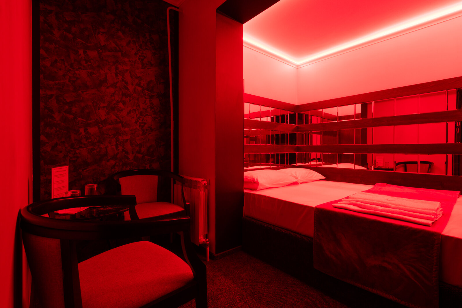 Фото Сова на Планерной