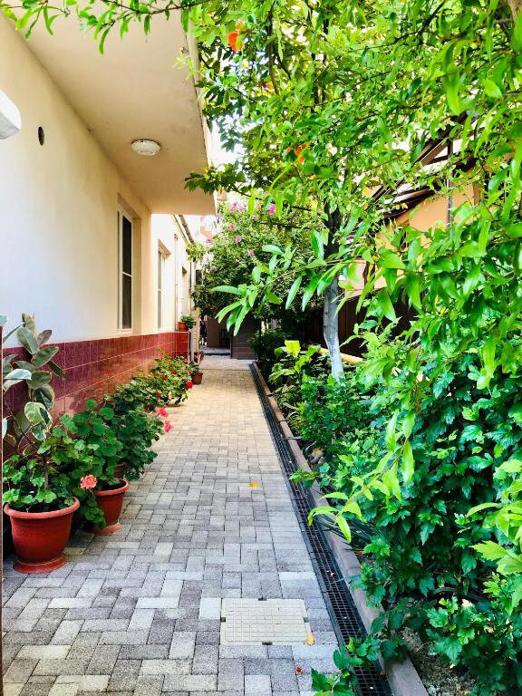 Фото Арарат