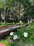 Dolphin (Petergofskoe Highway, 1к2), kindergarten, nursery