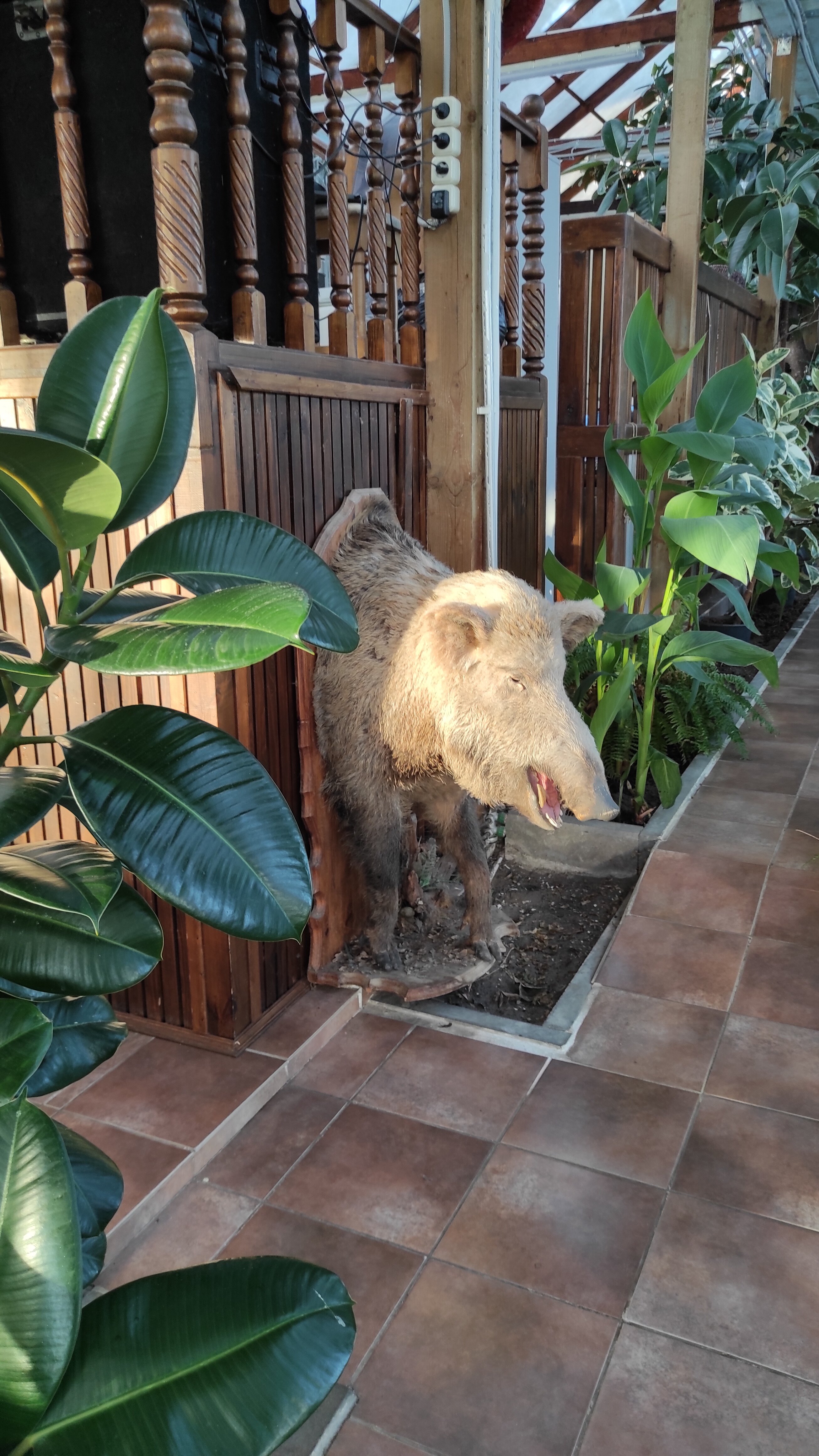 Фото Усадьба Абузерье