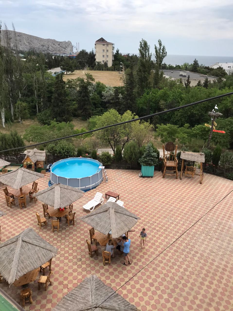 Фото Воробьиное гнездо