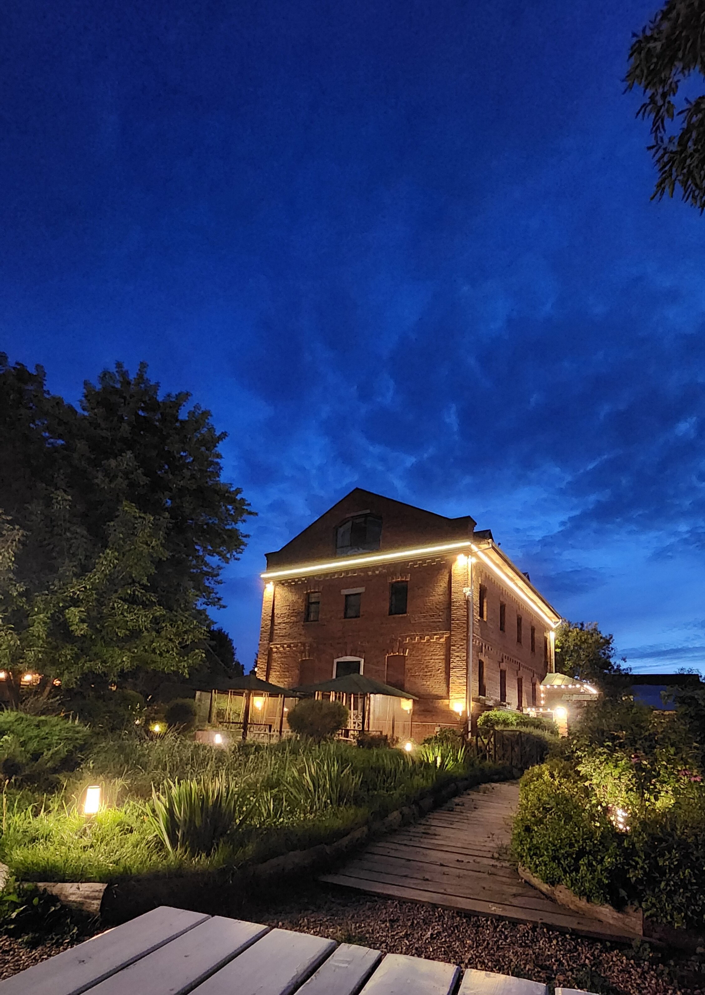 Фото Снегирь