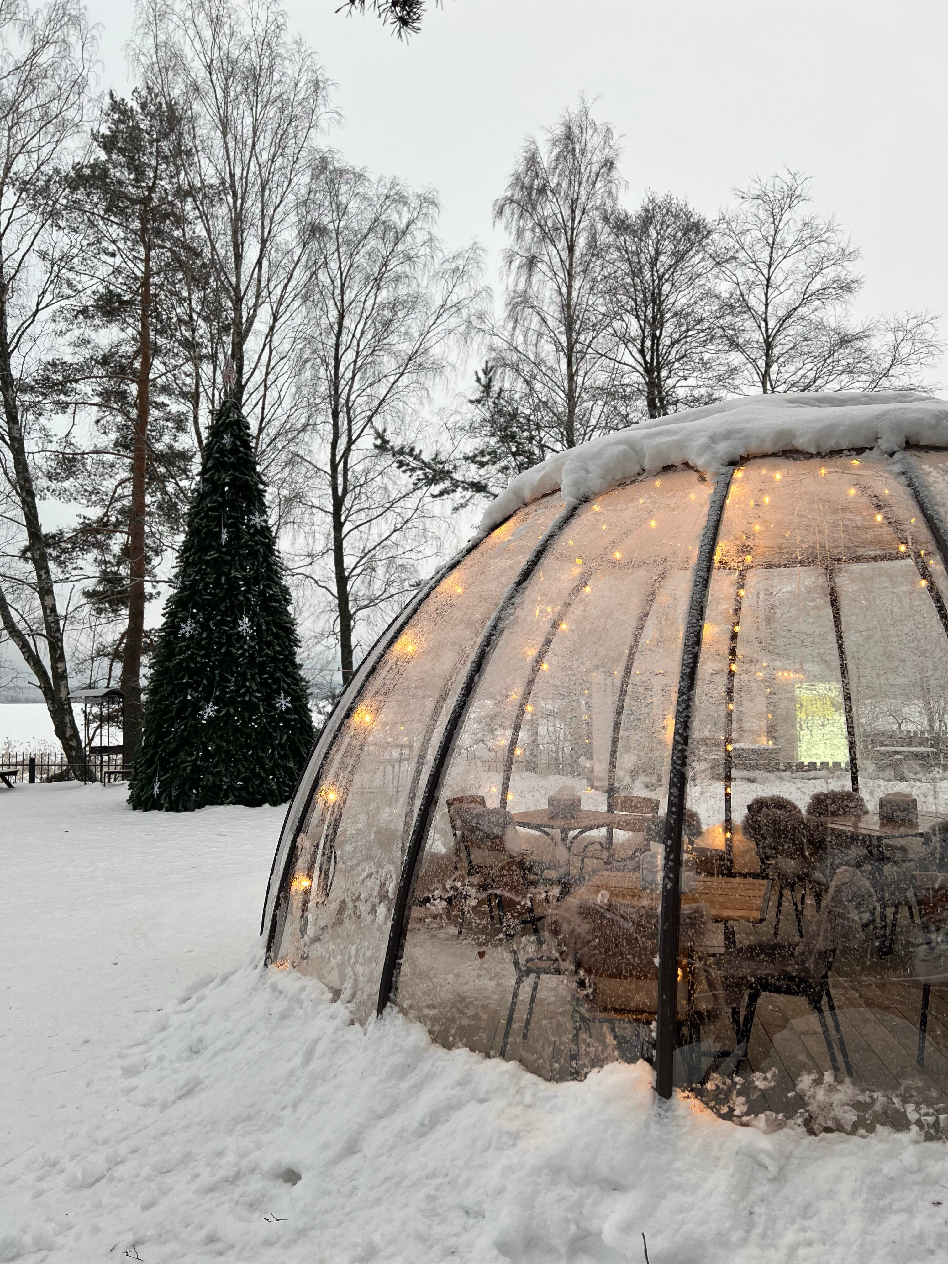 Фото Жемчужина