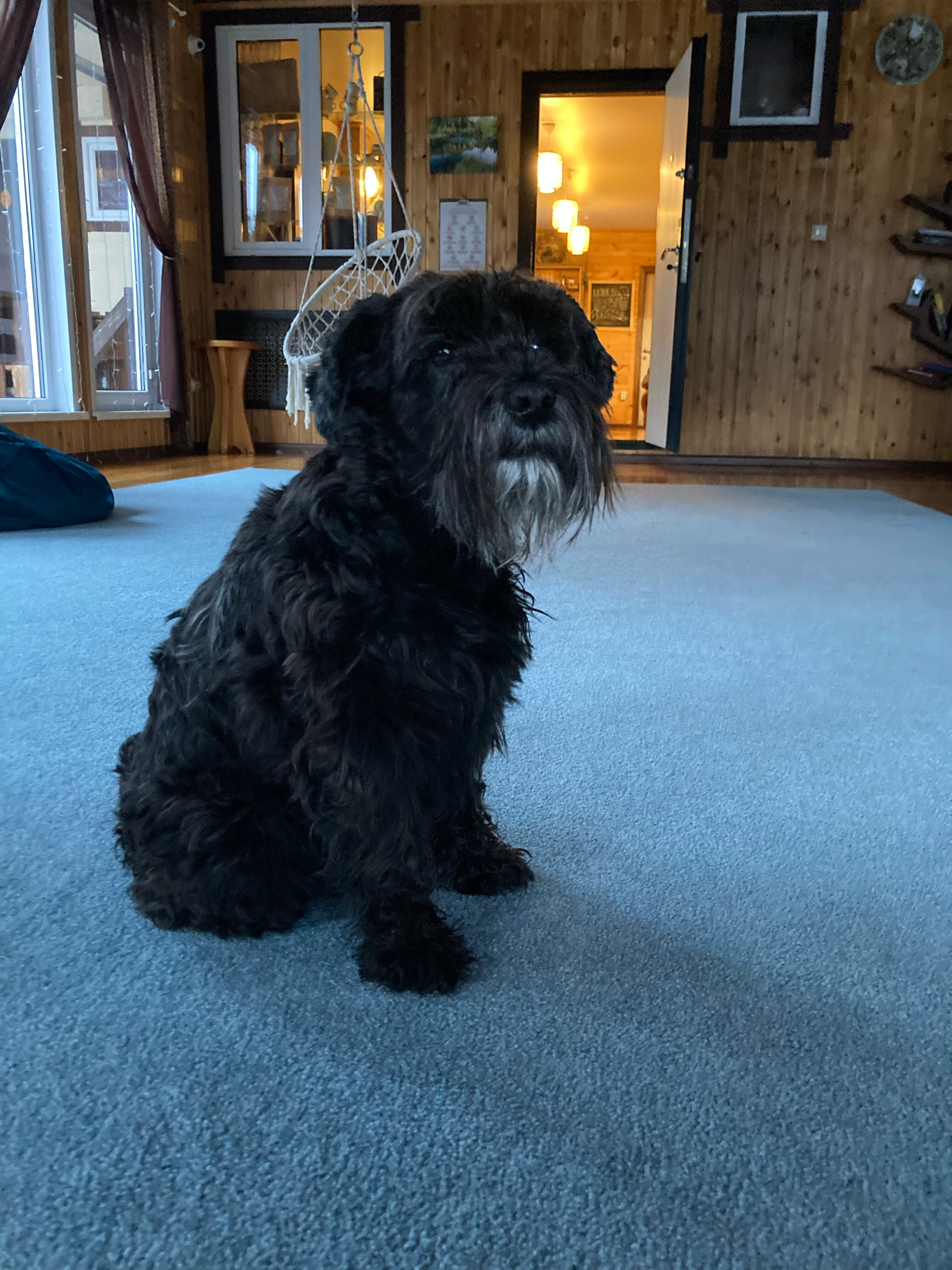 Фото Приют Романтиков