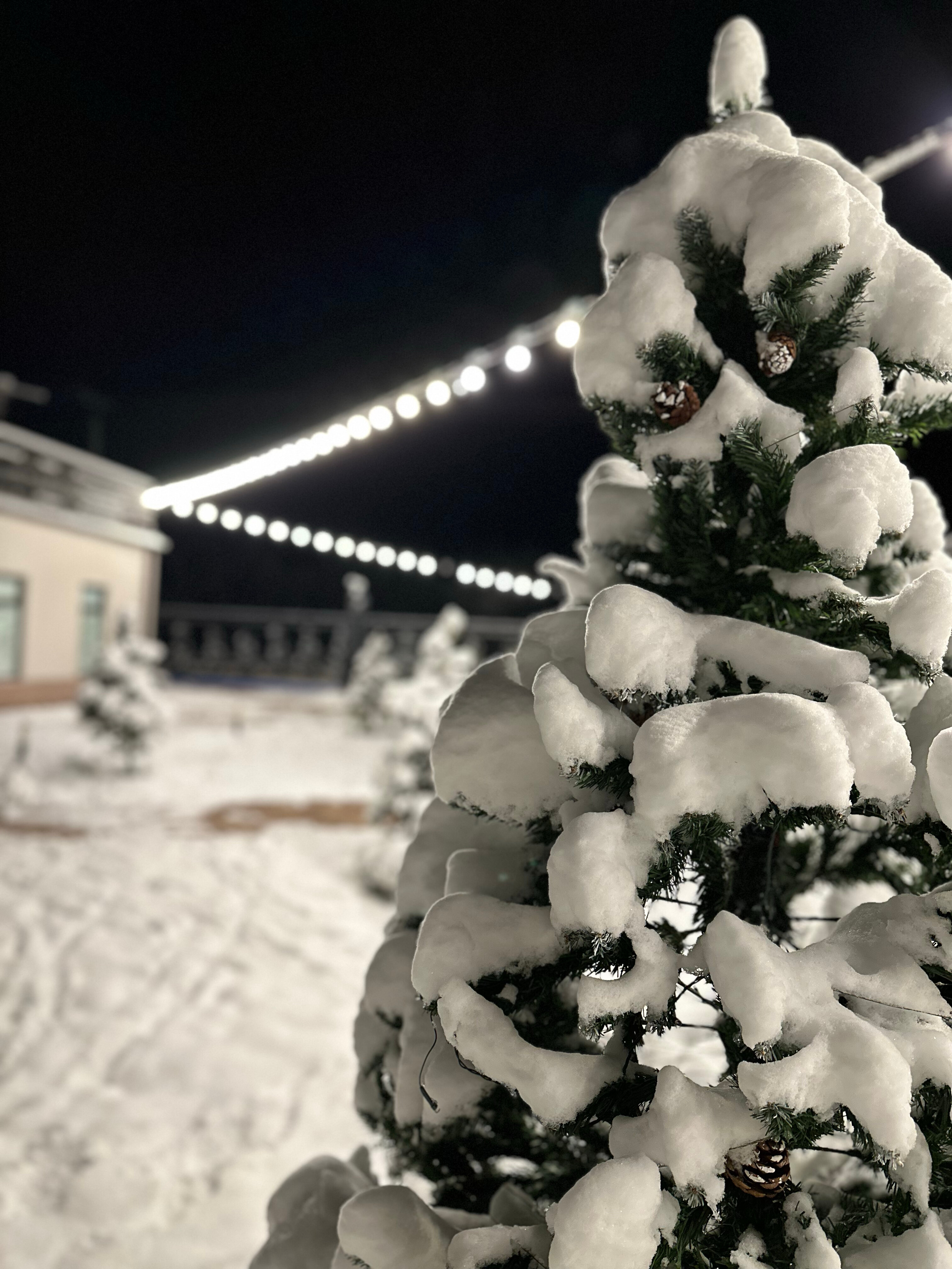 Фото АльтаРио