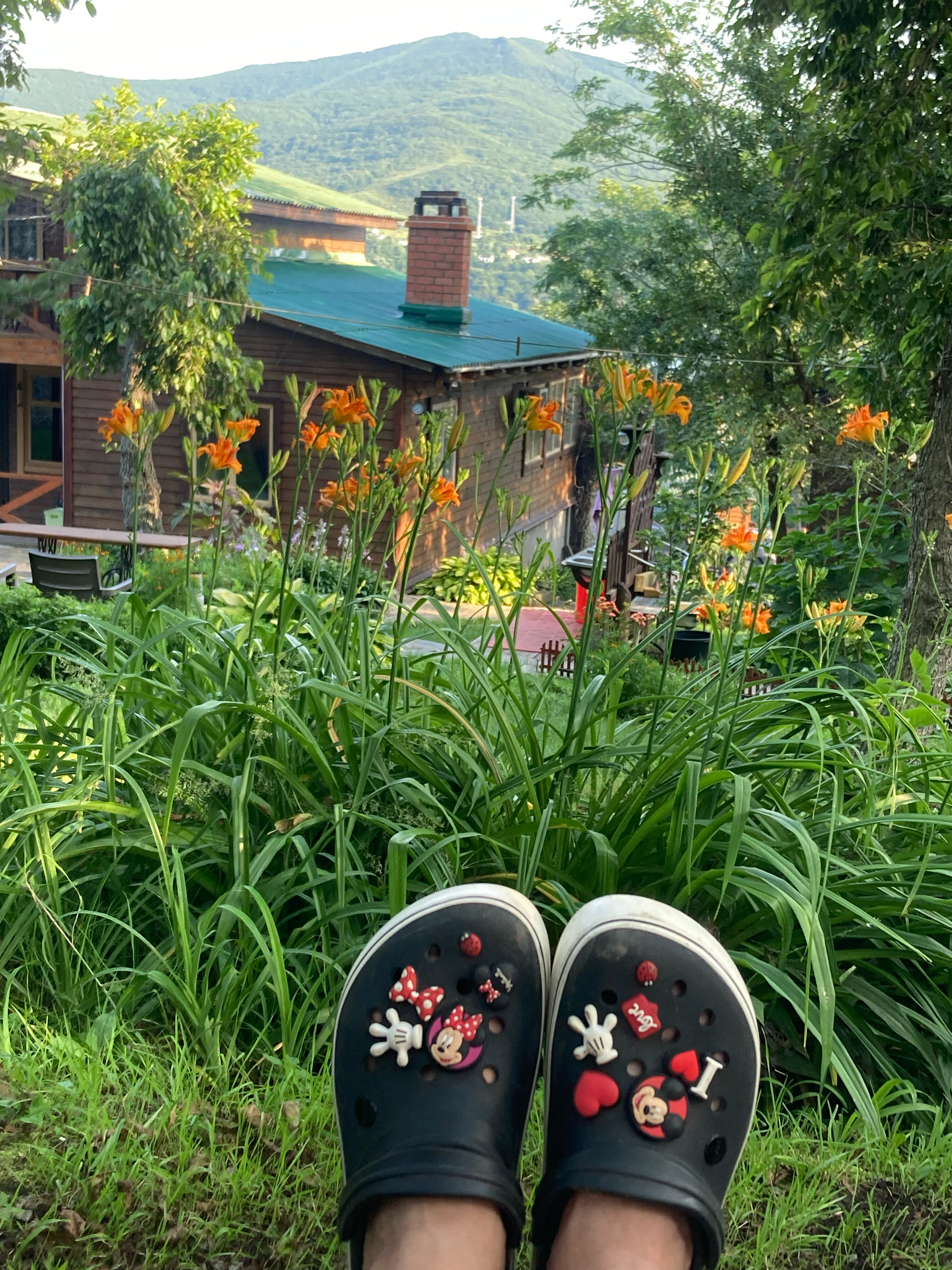 Фото Ольховая