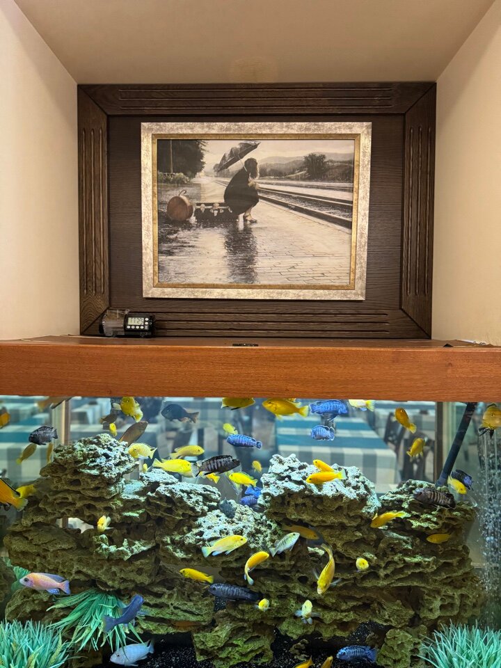 Фото Малетон