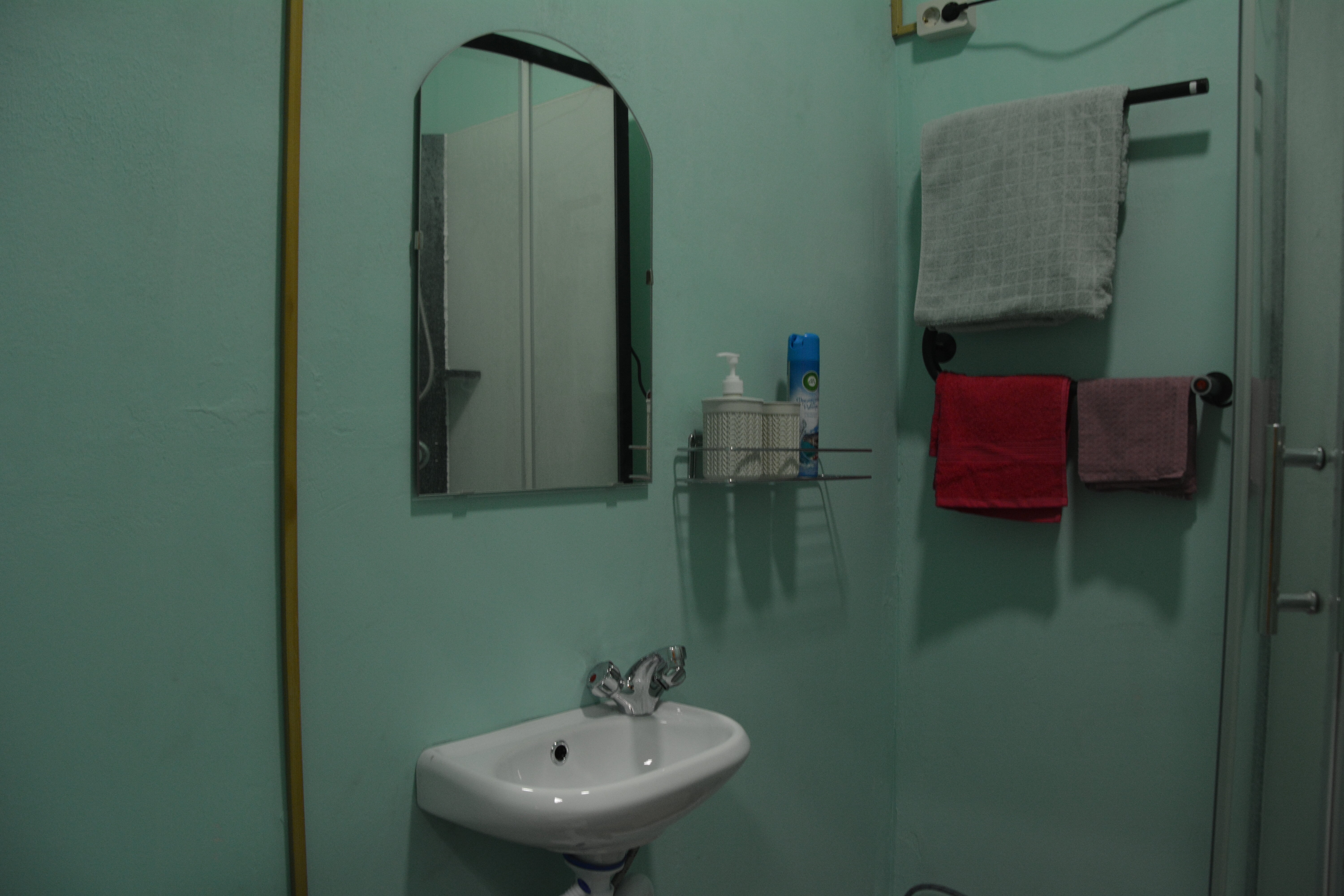 Фото Лес среди болот