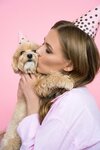 Party Dog Grooming (Shmitovsky Drive, 11А), pet salon