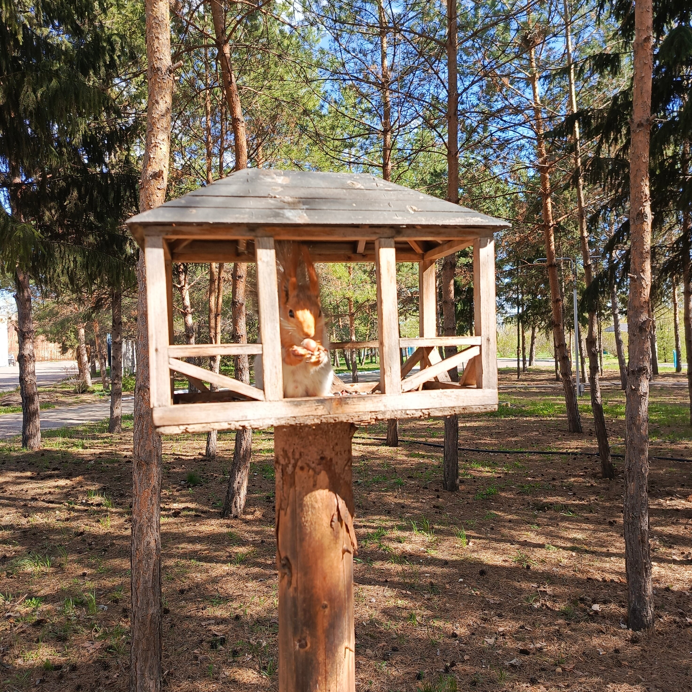 Фото Евромед