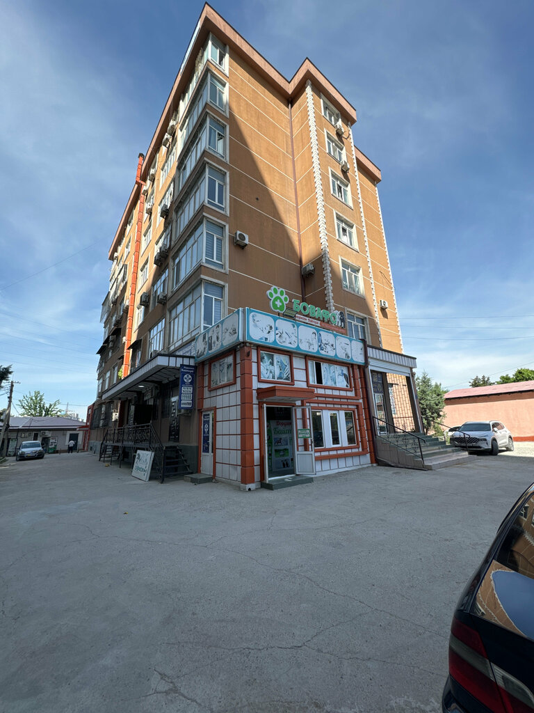 Veterinary clinic Бовафо, Dushanbe, photo