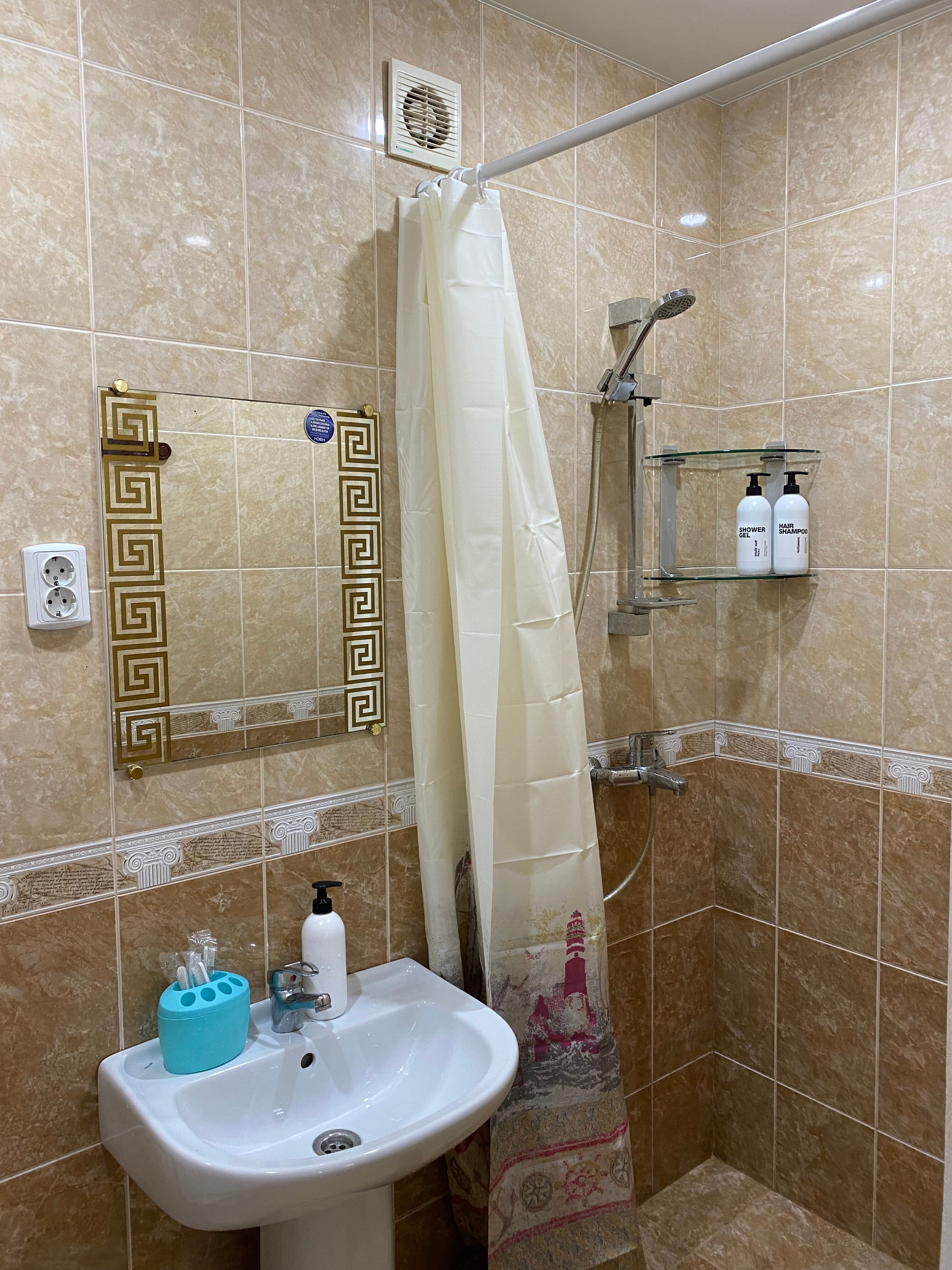 Фото Кипарис