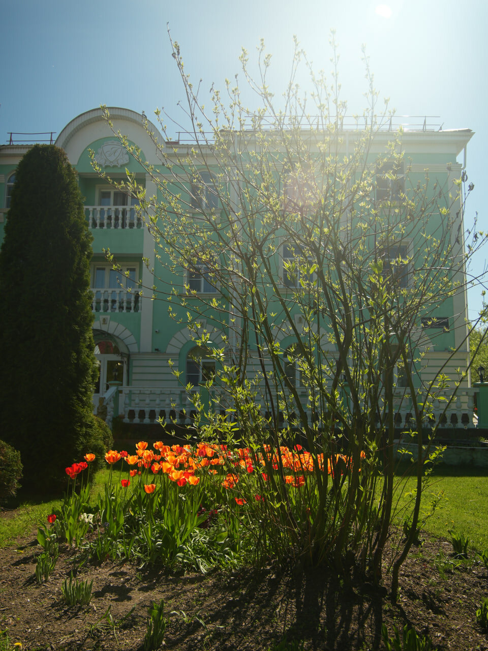Фото Александрия Петергоф
