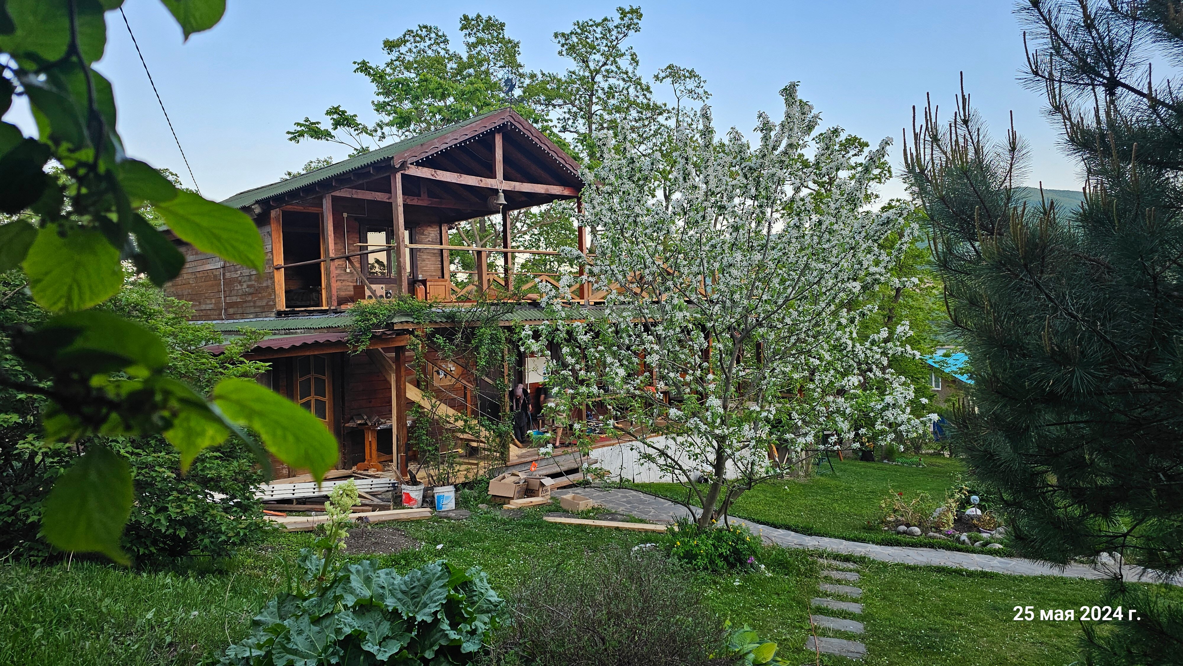 Фото Ольховая