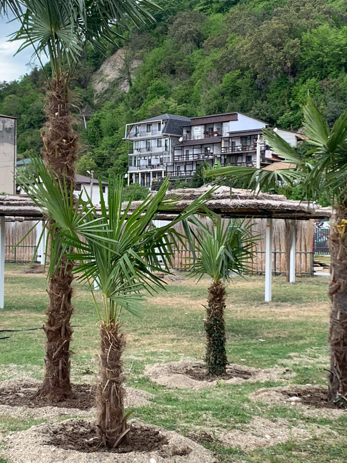 Фото Ривьера Пицунда