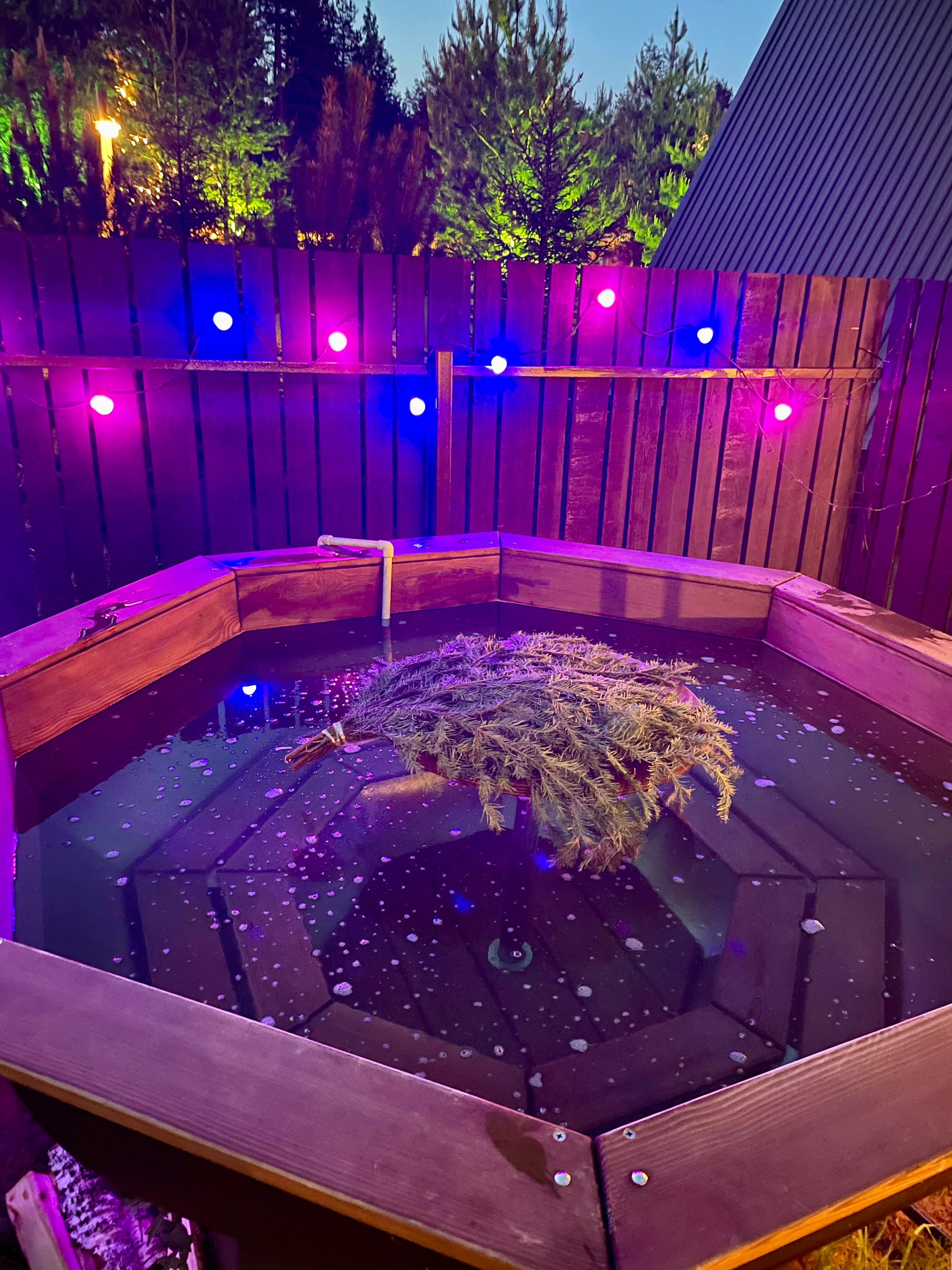 Фото А в лесу