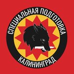 Волк (Musorgskogo Street, 10к16А), professional development center
