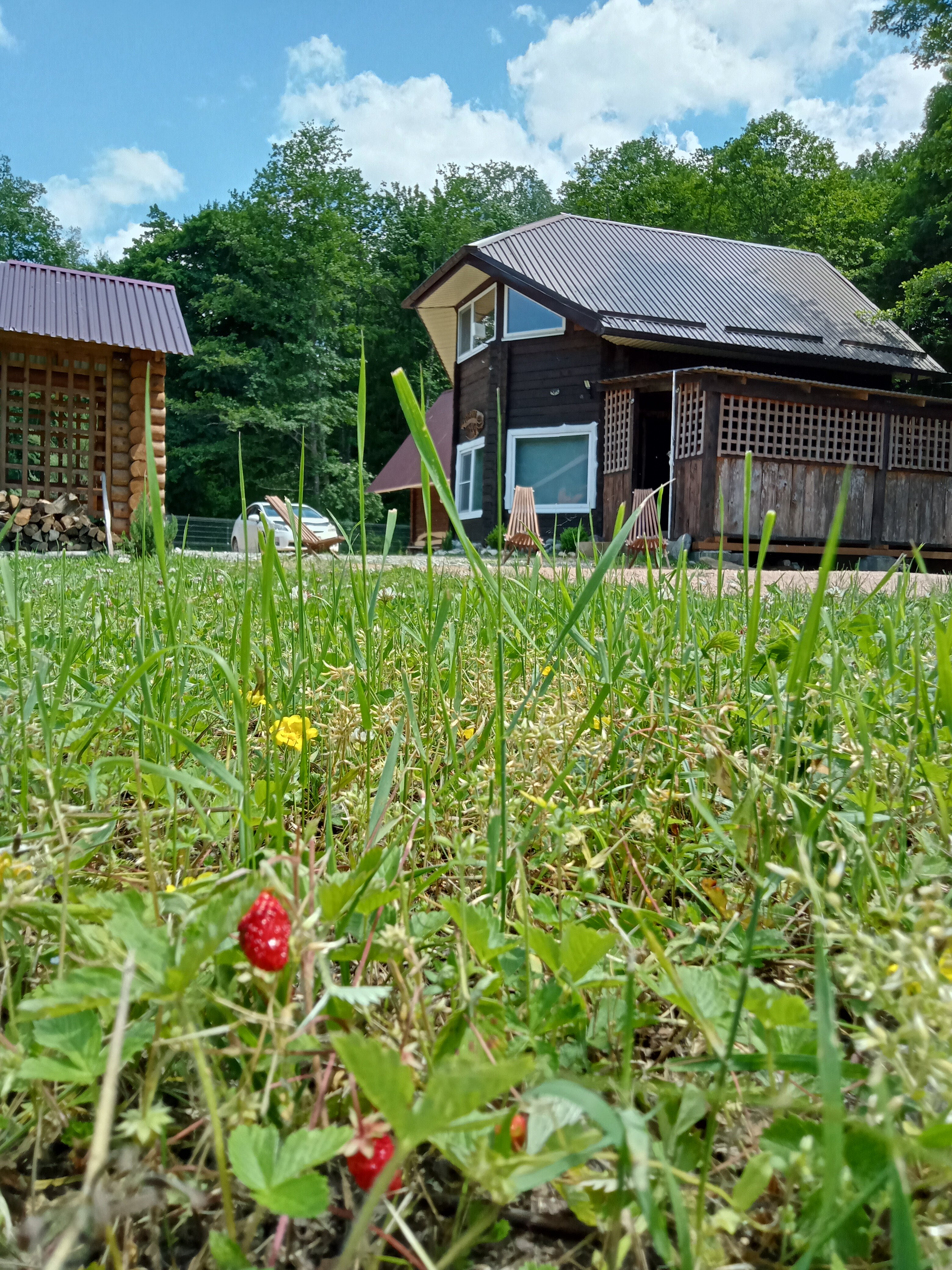 Фото Дикий дом