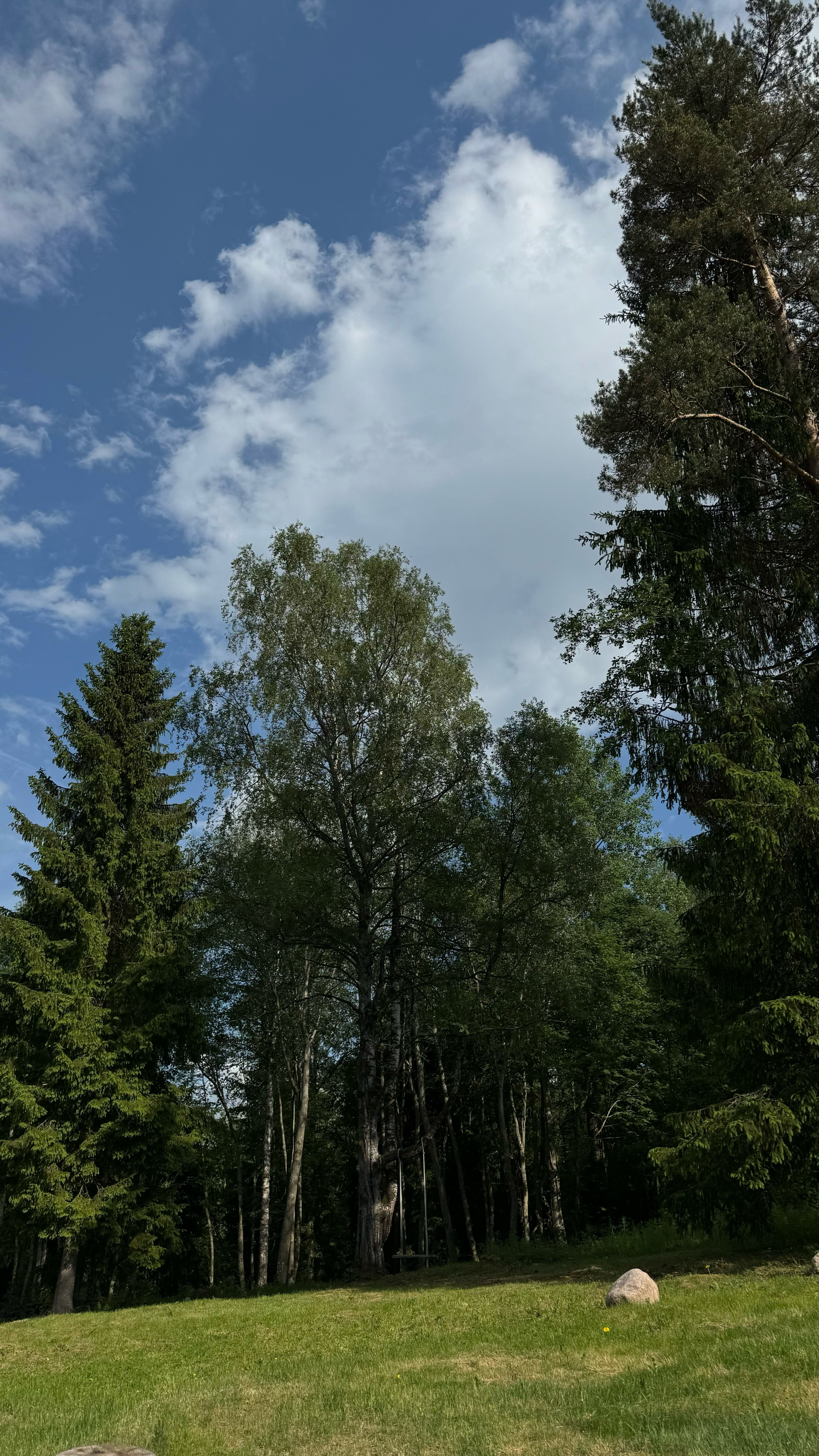 Фото Aframe на Валдае