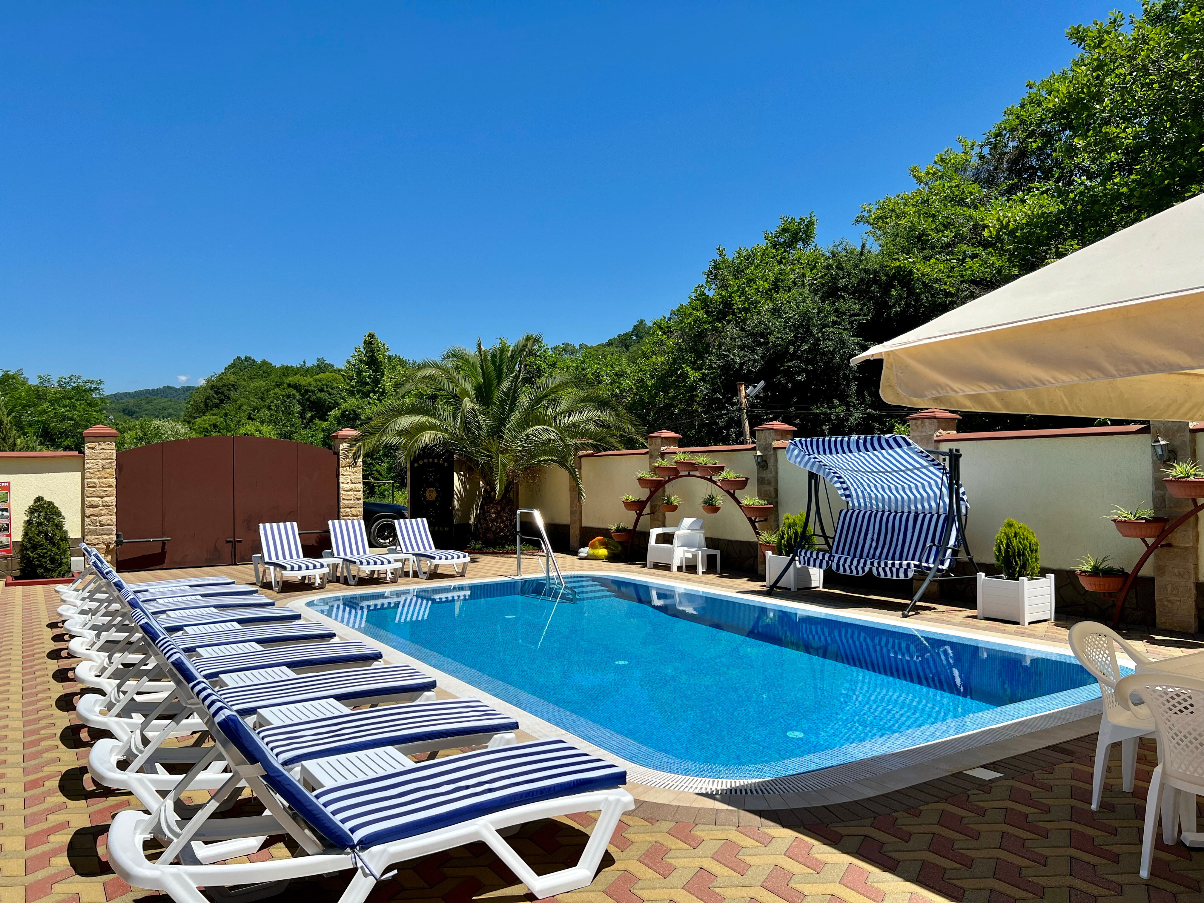 Фото Золотой Лев