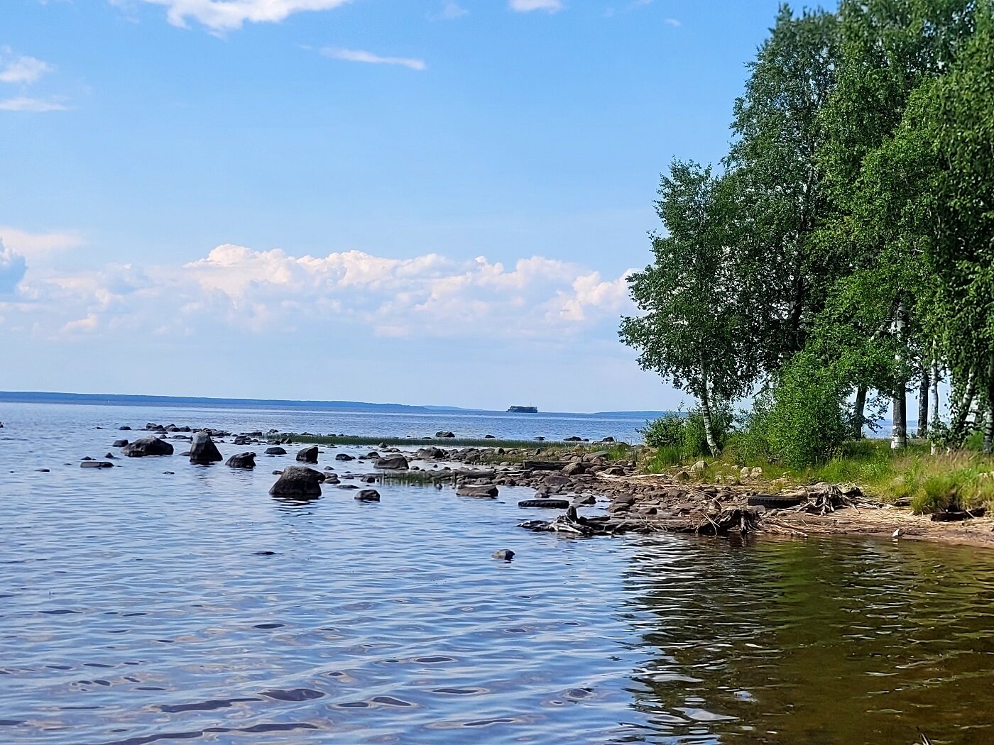 Фото Пяльма