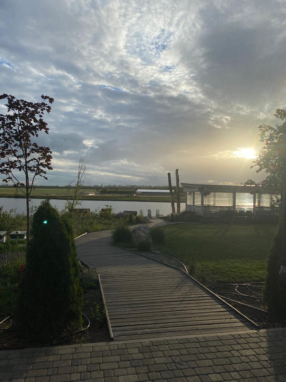 Фото Феникс