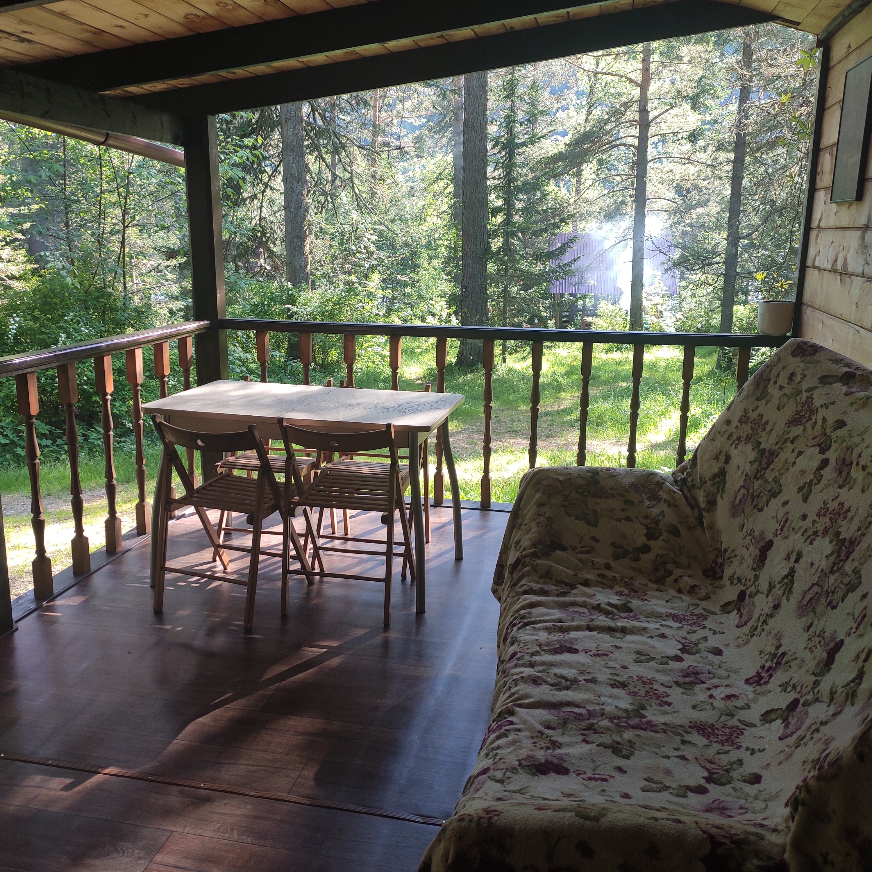 Фото Бия заповедная