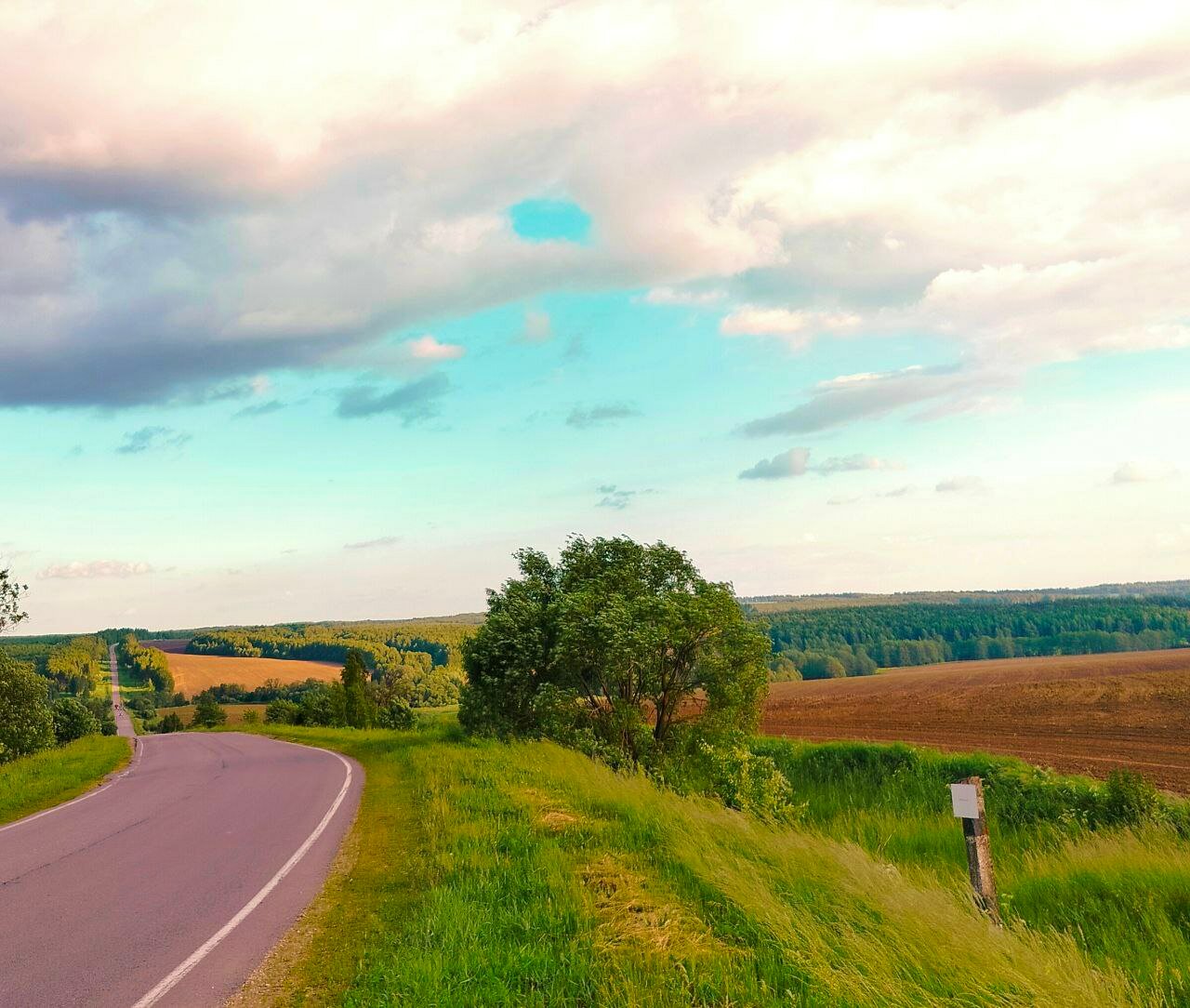 Фото Глэмпинг Ильино