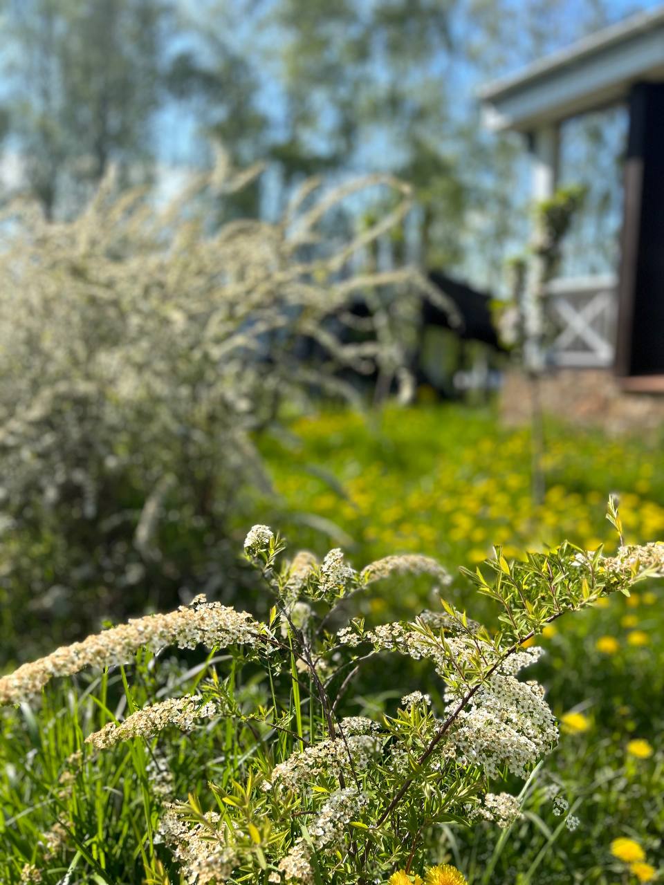 Фото МаксиПарк7Я