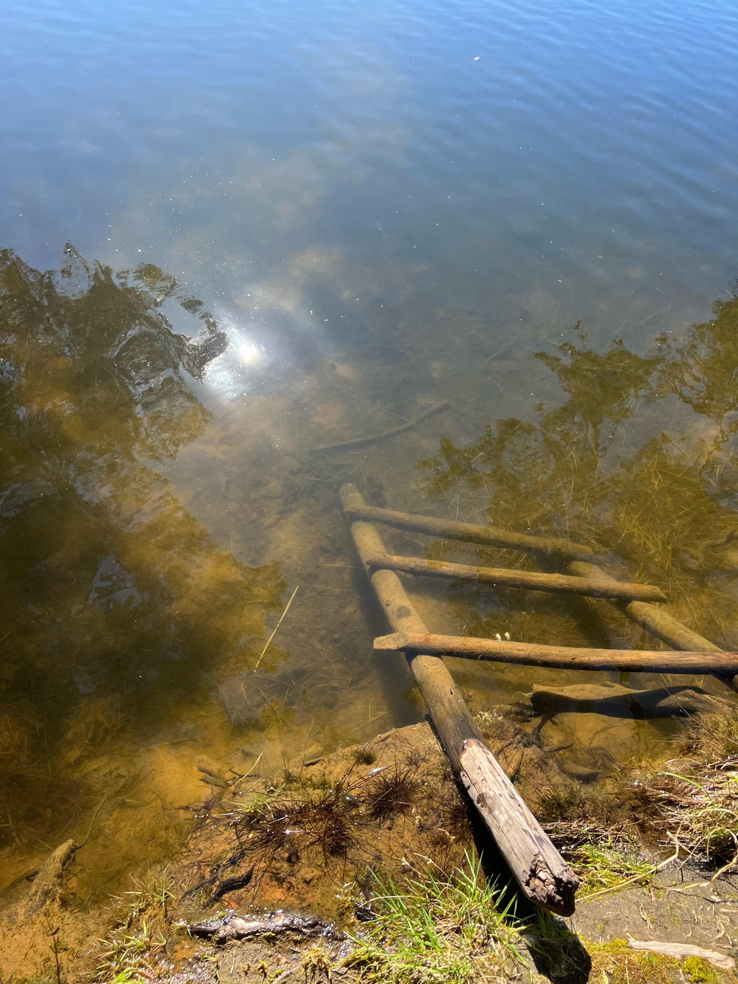 Фото Зеленьково
