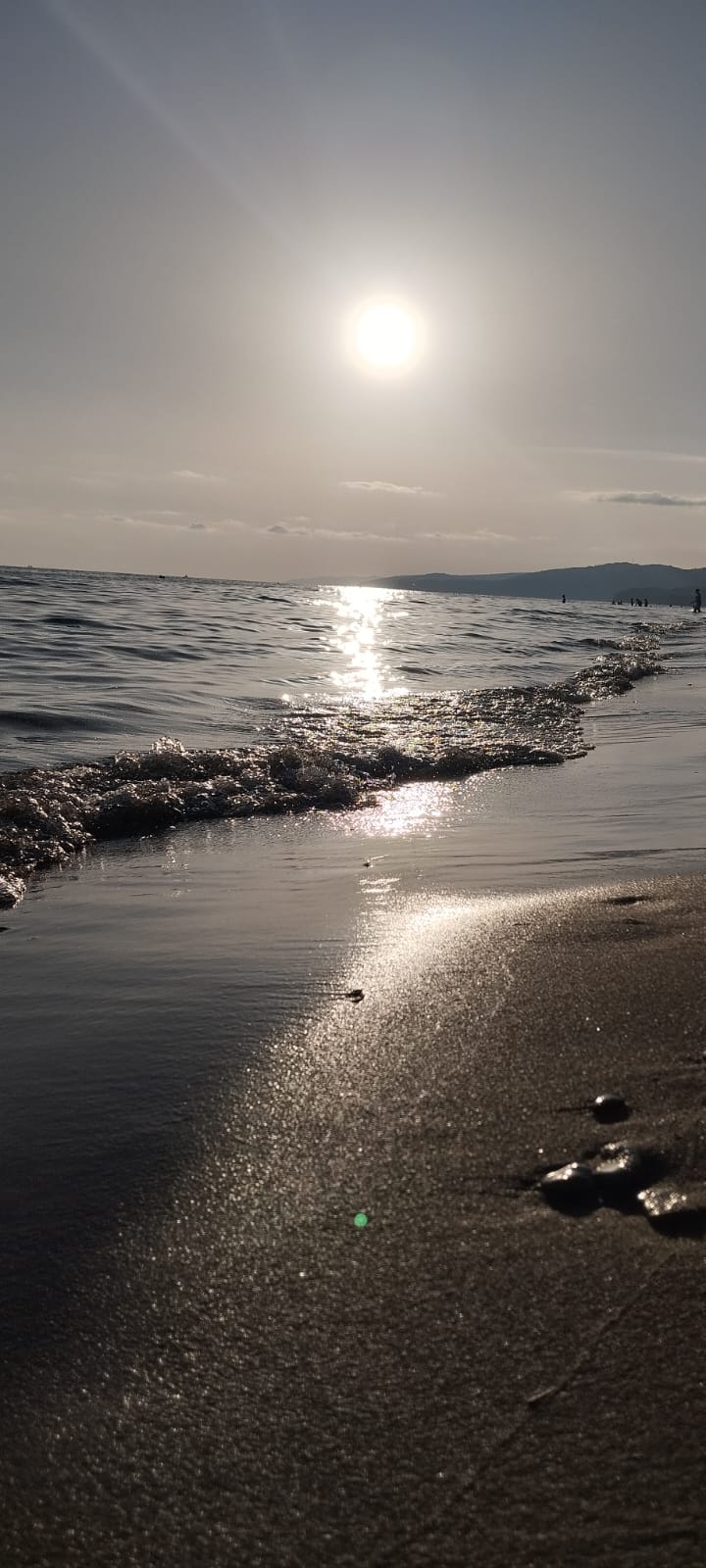 Фото Золотая Корона