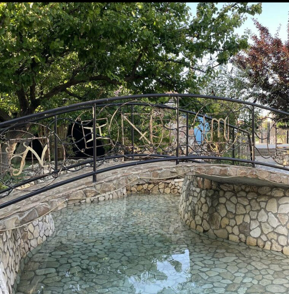 Фото Морская Звезда