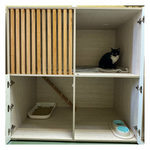 Дом с Котом гостиница для животных ул Бондаренко 7 Казань  