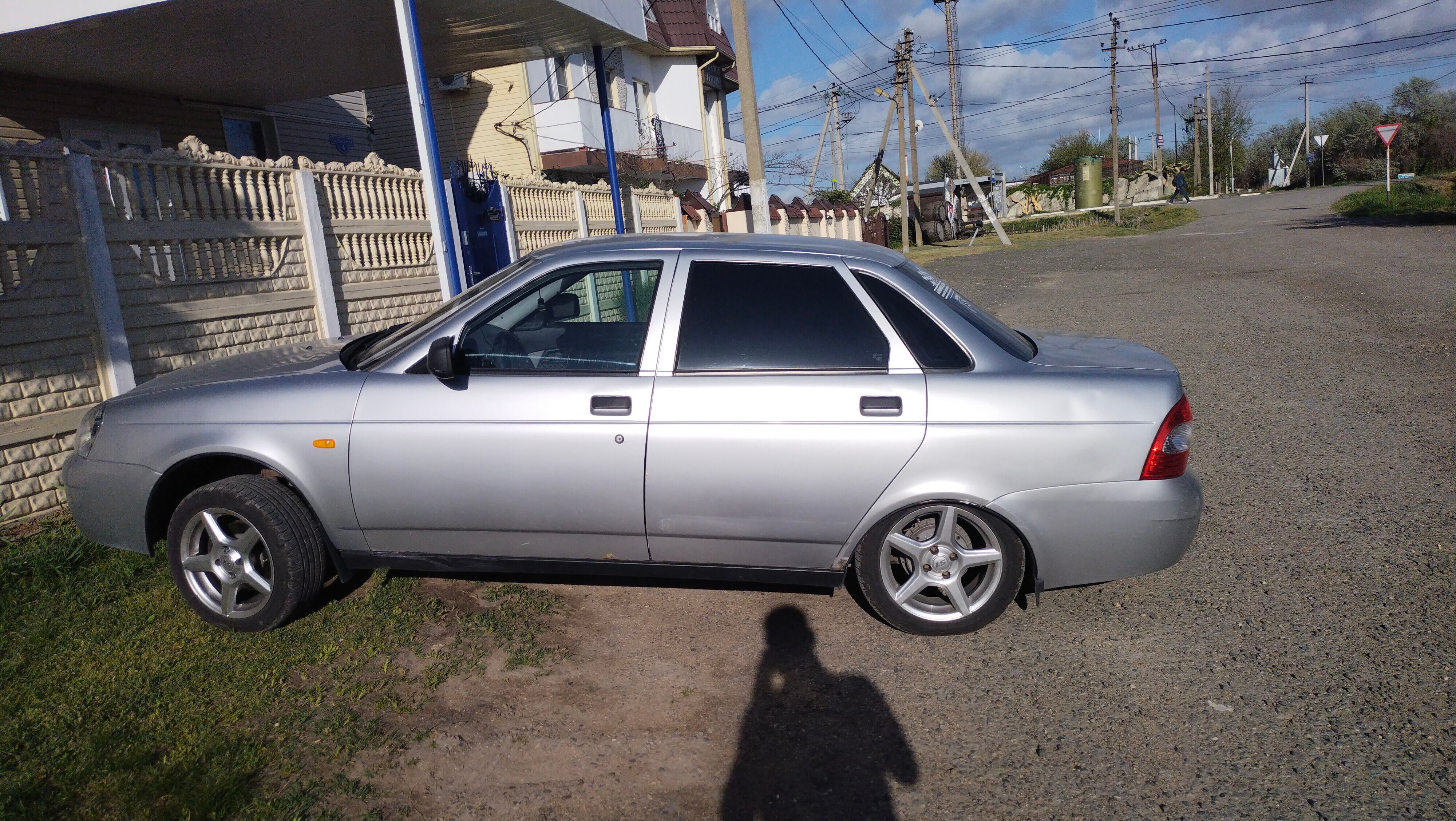 Фото Дельфин