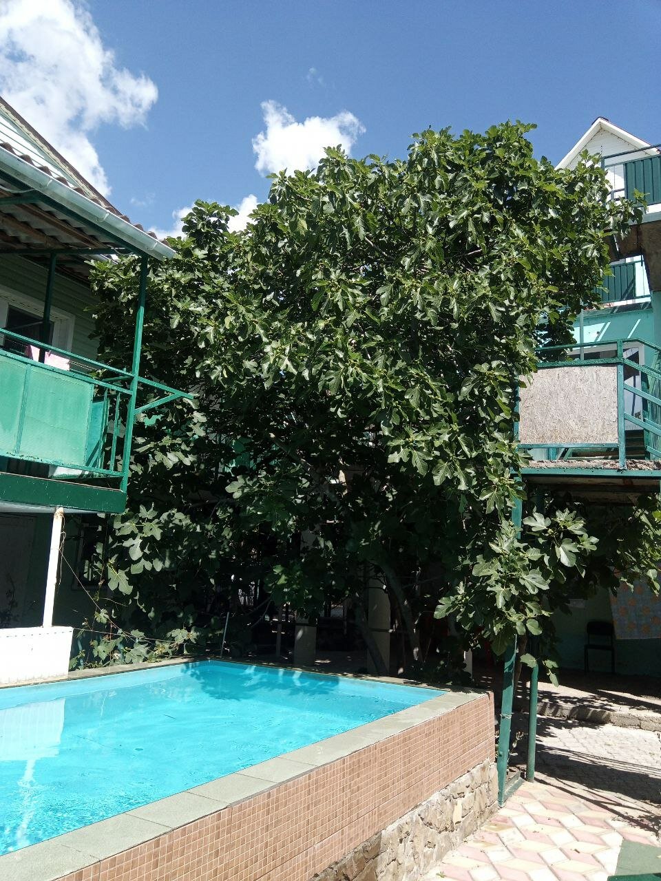 Фото Приморский 1