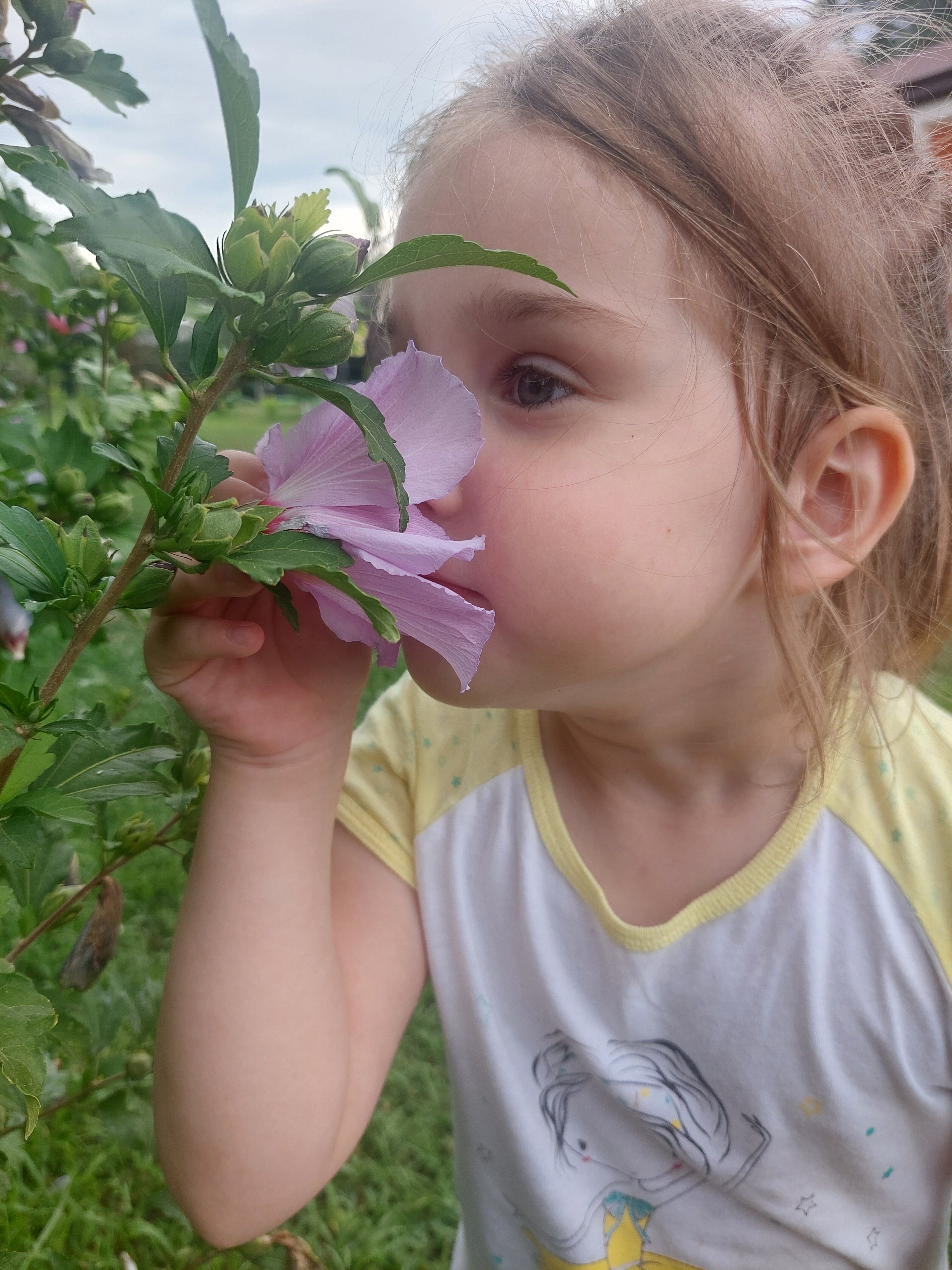 Фото Guest House on Sayat-Nova