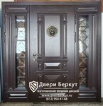 Dveri Berkut (Frontovaya ulitsa, 3С), doors